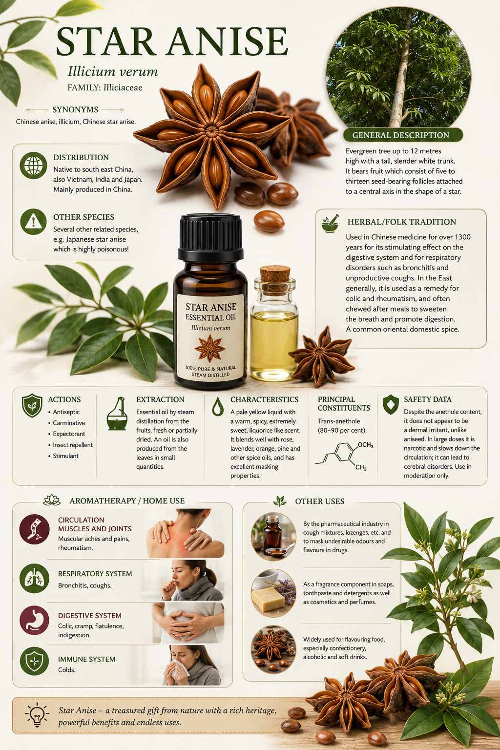 Essential Oil – Star Anise