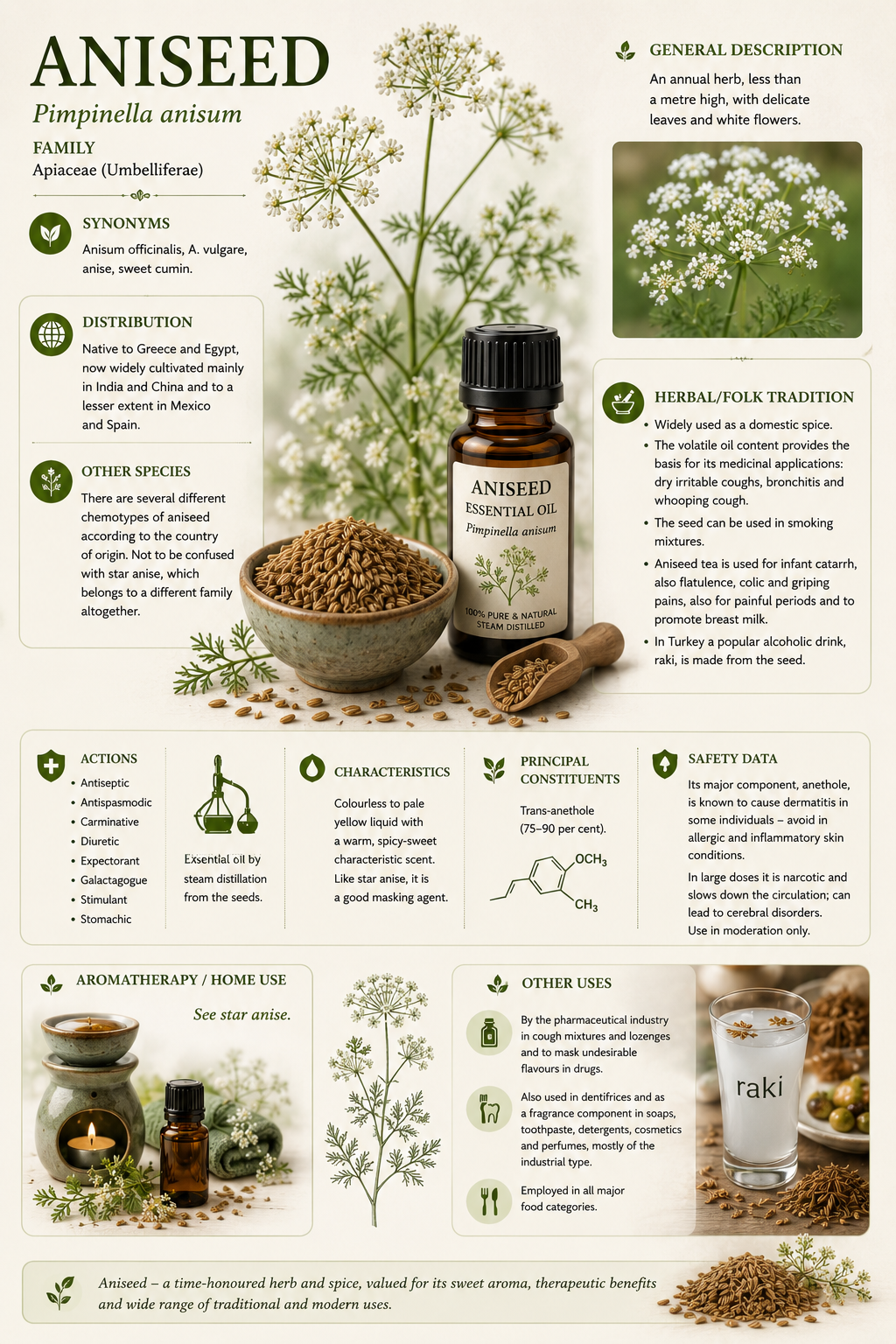Essential Oil – Aniseed