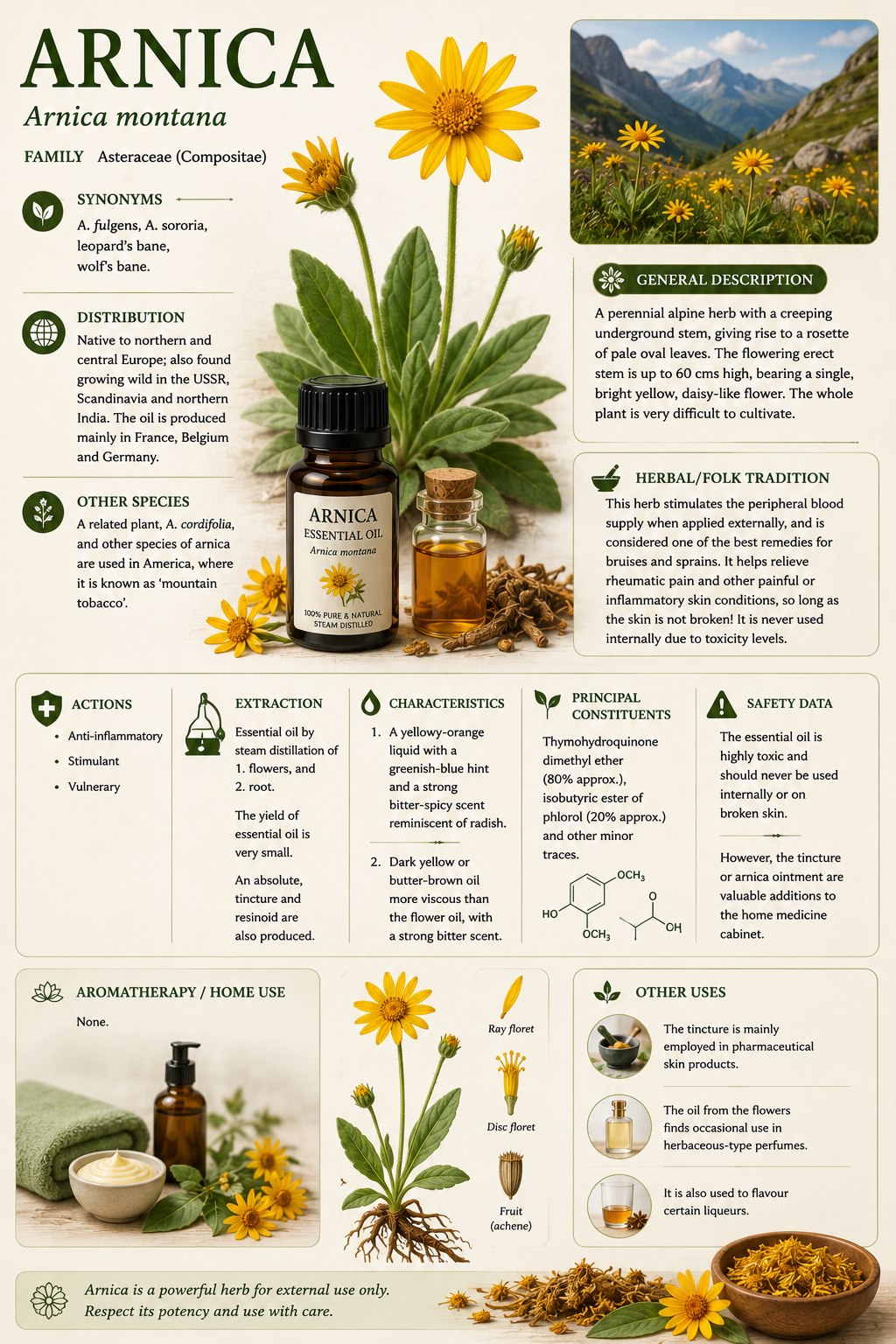 Essential Oil – Arnica