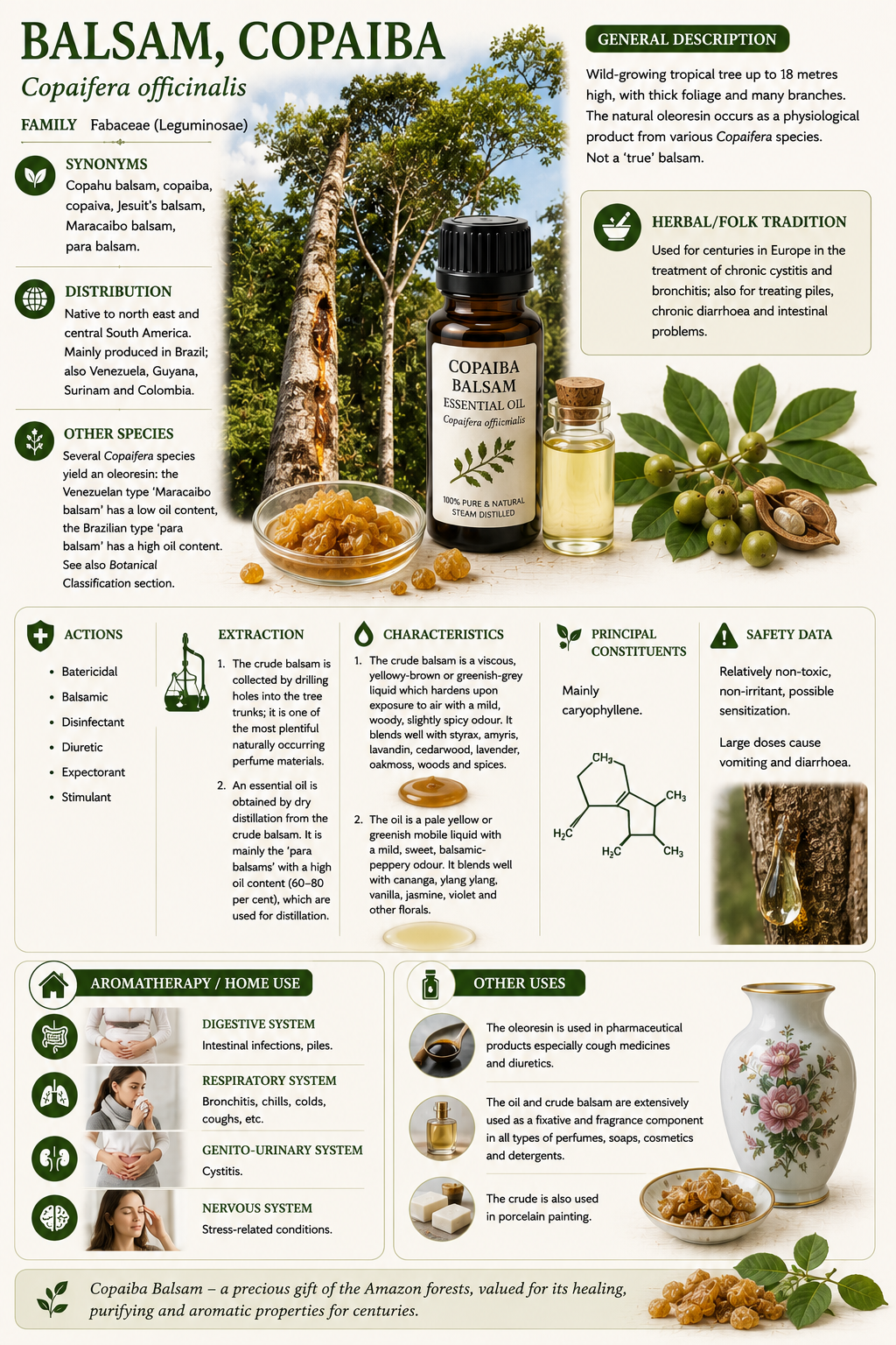 Essential Oil - Copaiba Balsam 