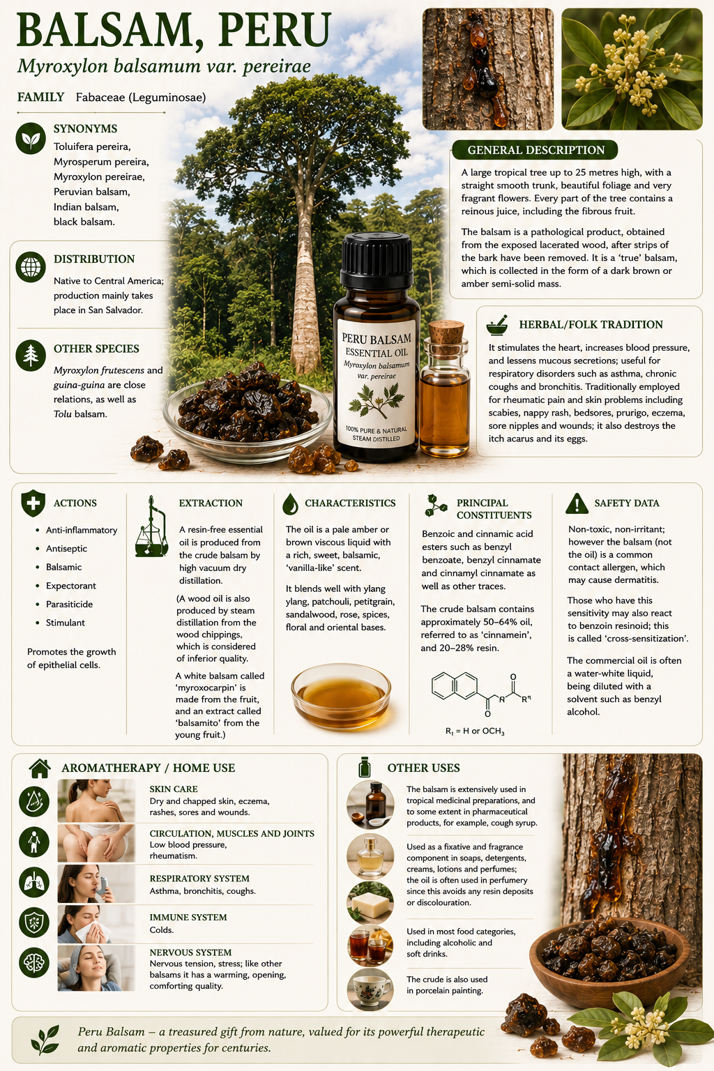 Essential Oil - Peru Balsam 