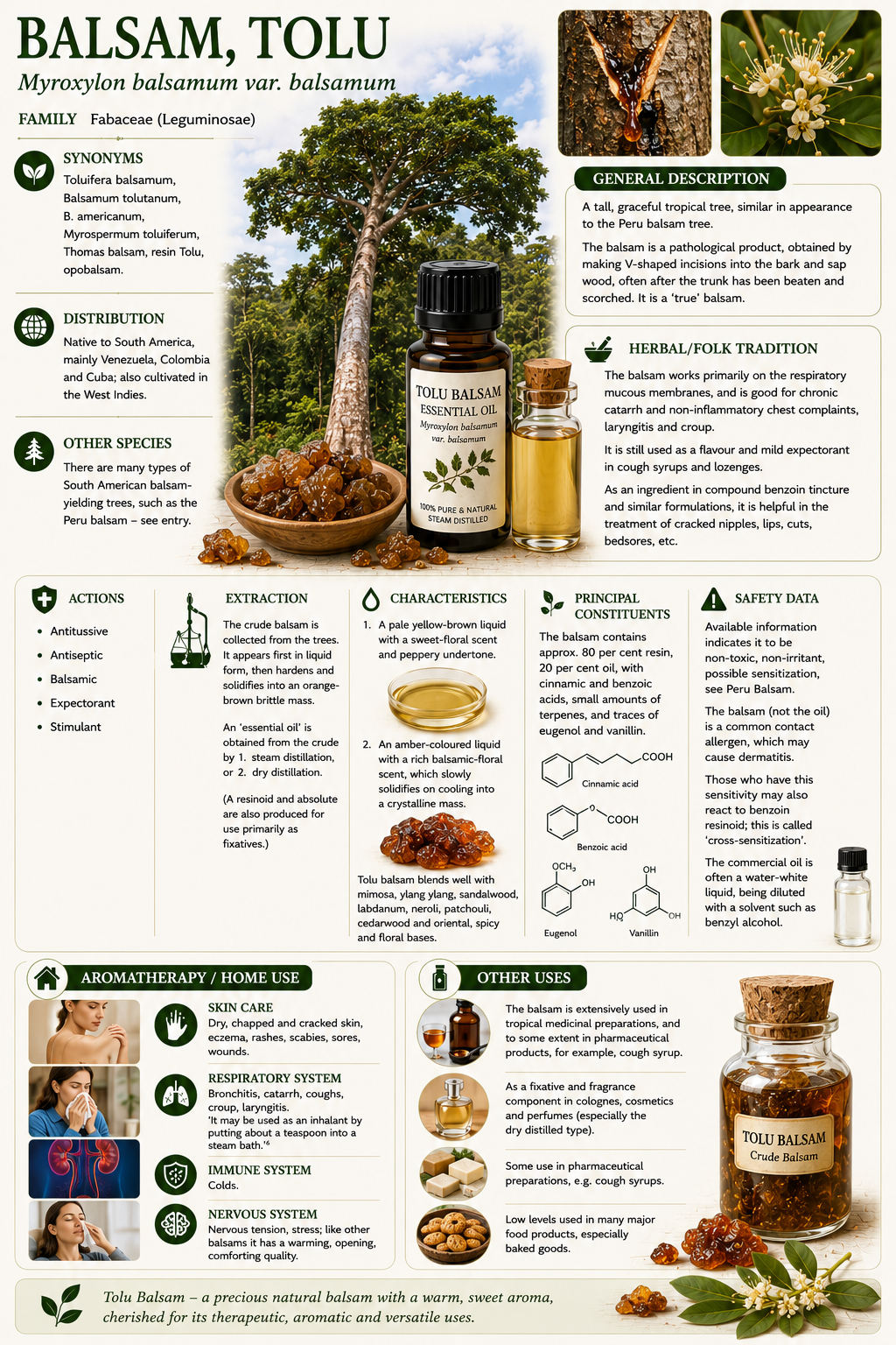Essential Oil- Tolu Balsam 