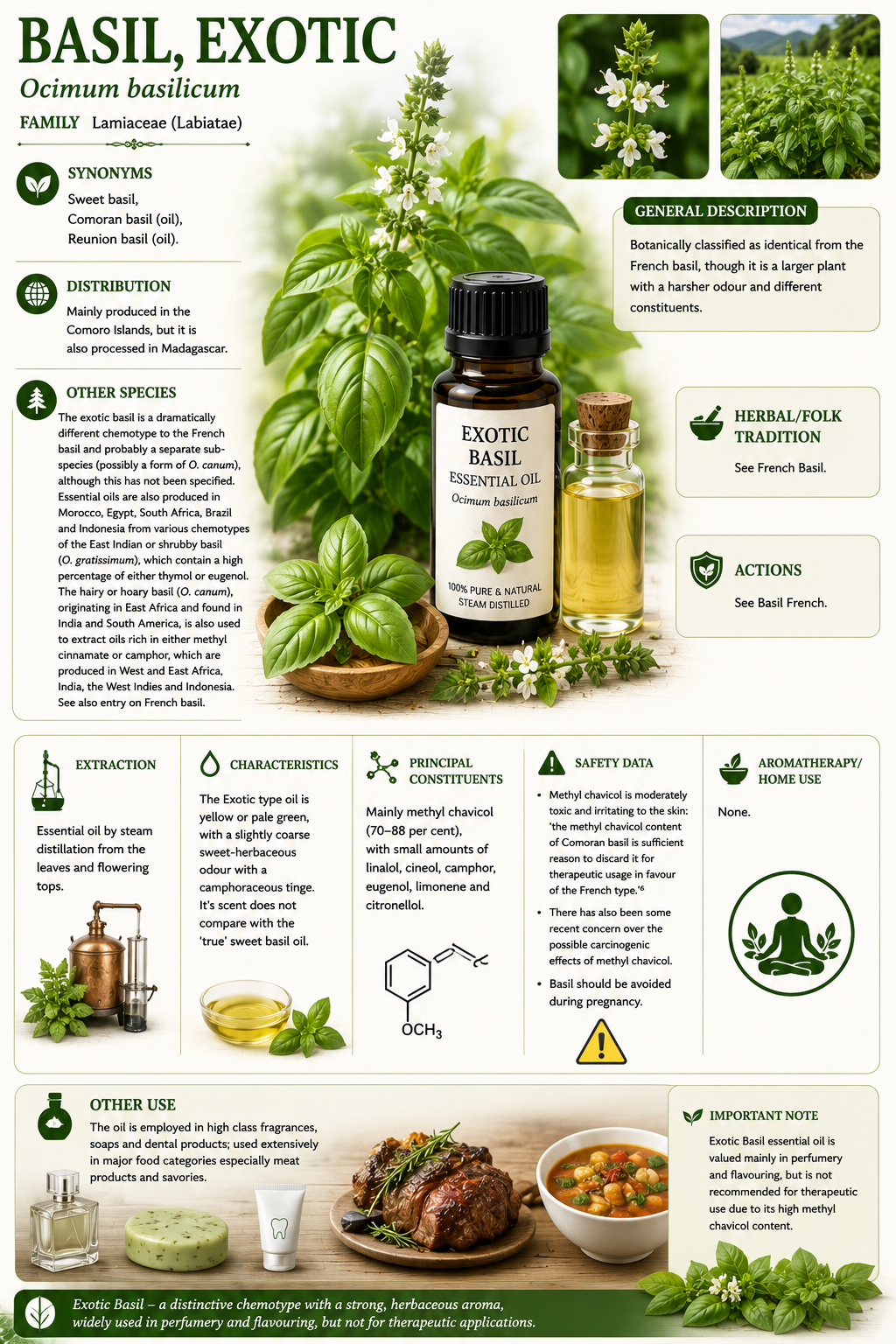 Essential Oil - Exotic Basil 