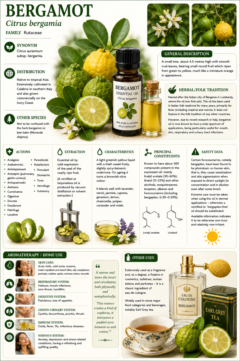 Essential Oil - Bergamot 