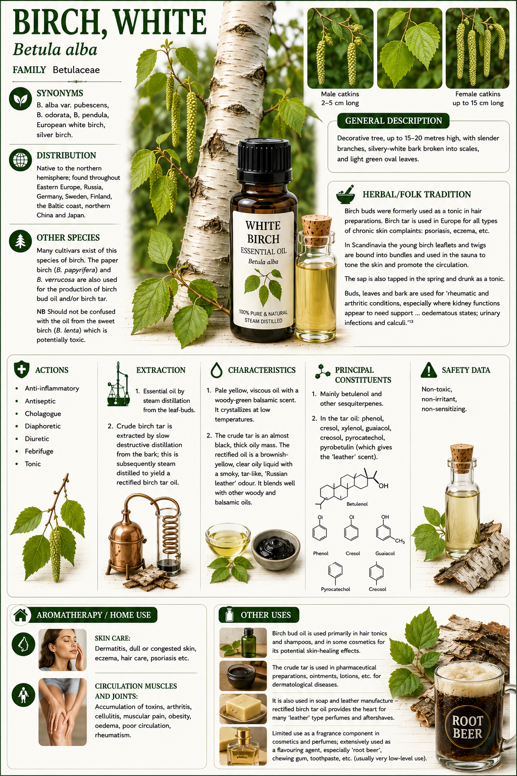 Essential Oil - White Birch 