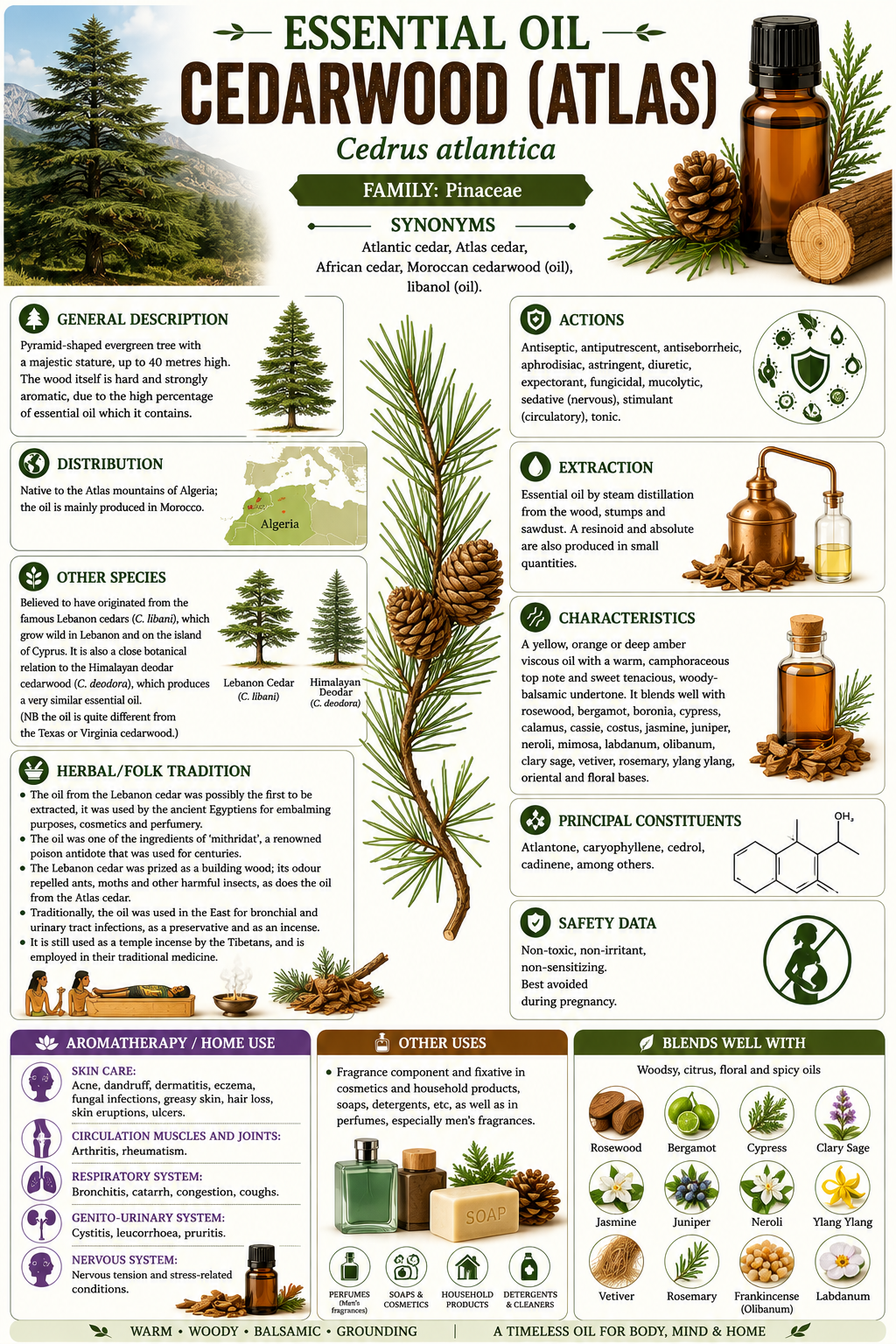Essential Oil - Atlas Cedarwood 