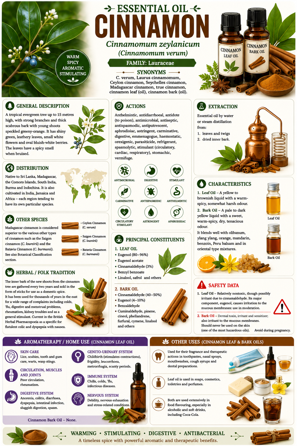 Essential Oil - Cinnamon
