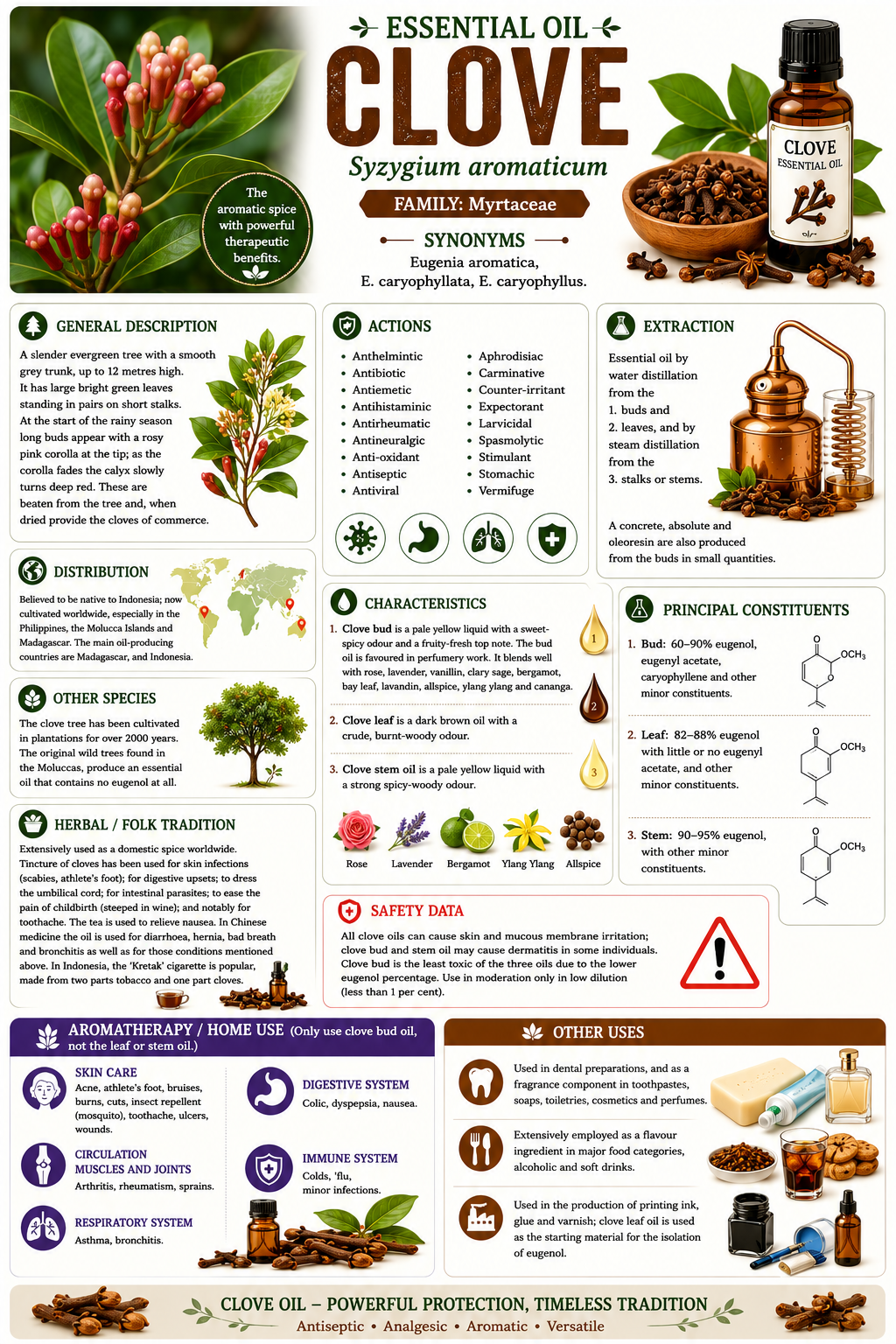 Essential Oil - Clove 