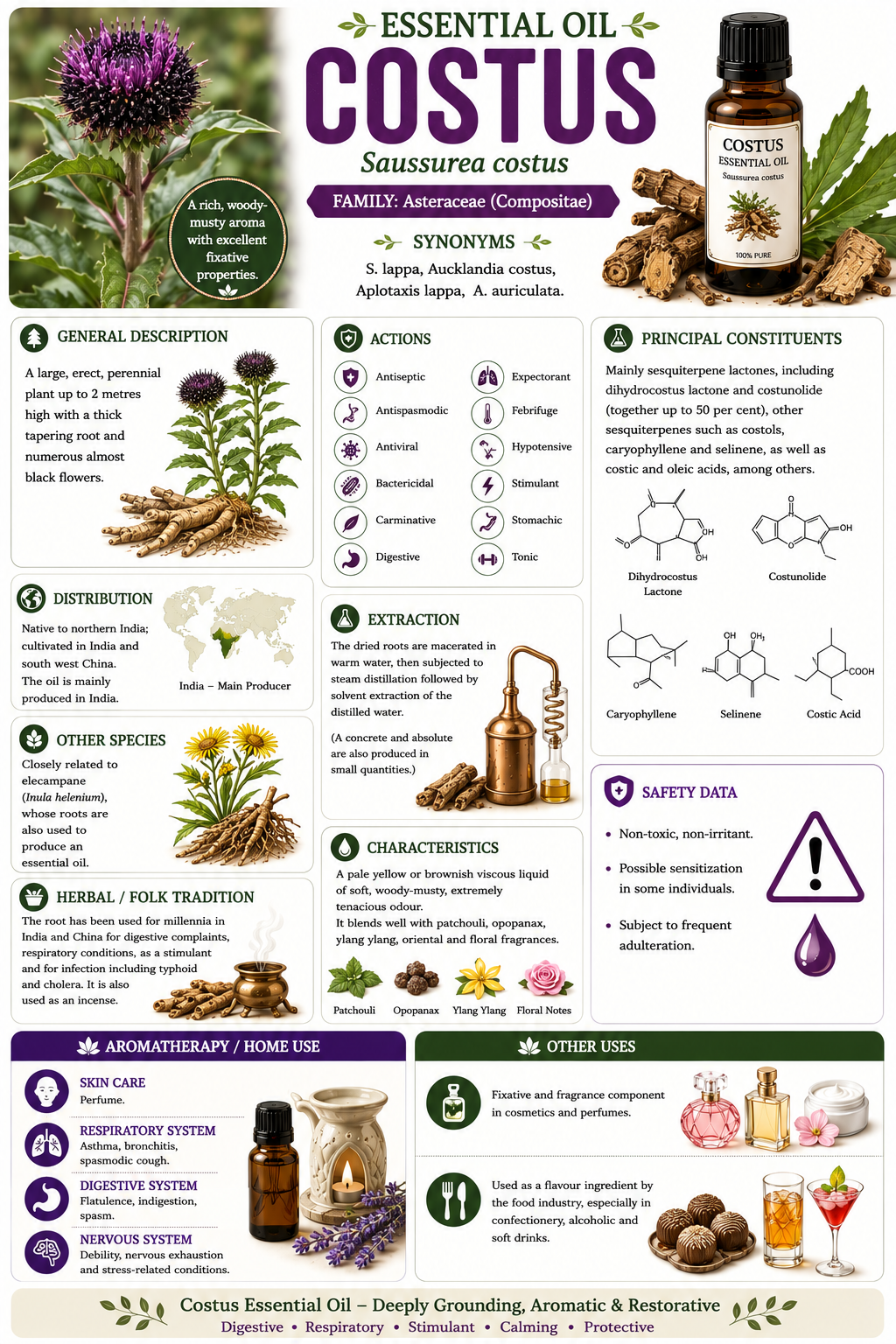 Essential Oil - Costus