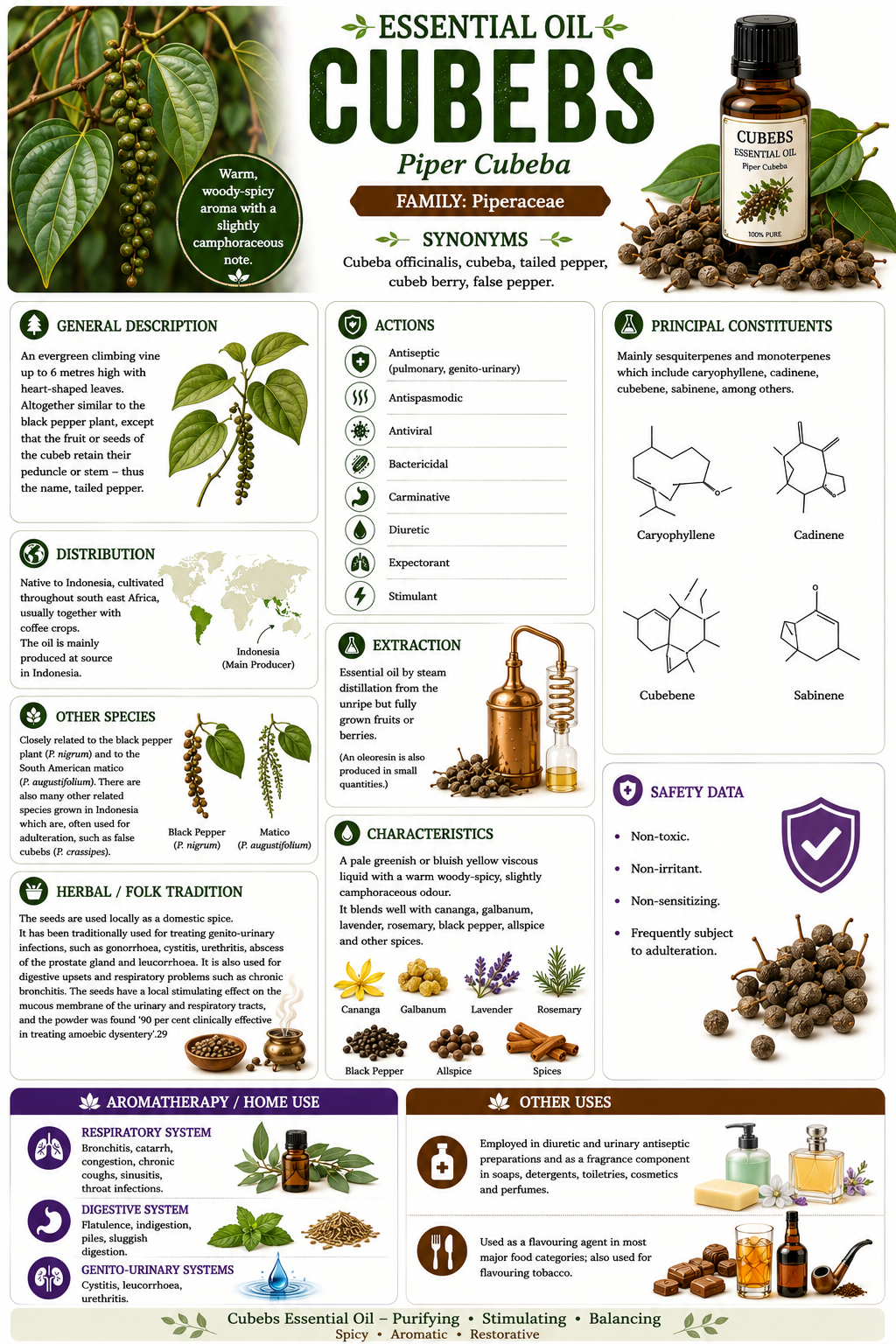 Essential Oil - Cubebs 