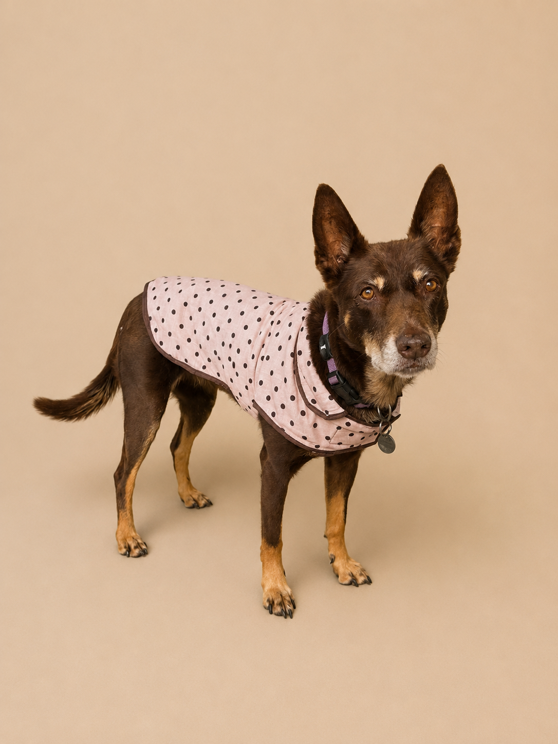 Brown Polka Dot Coat