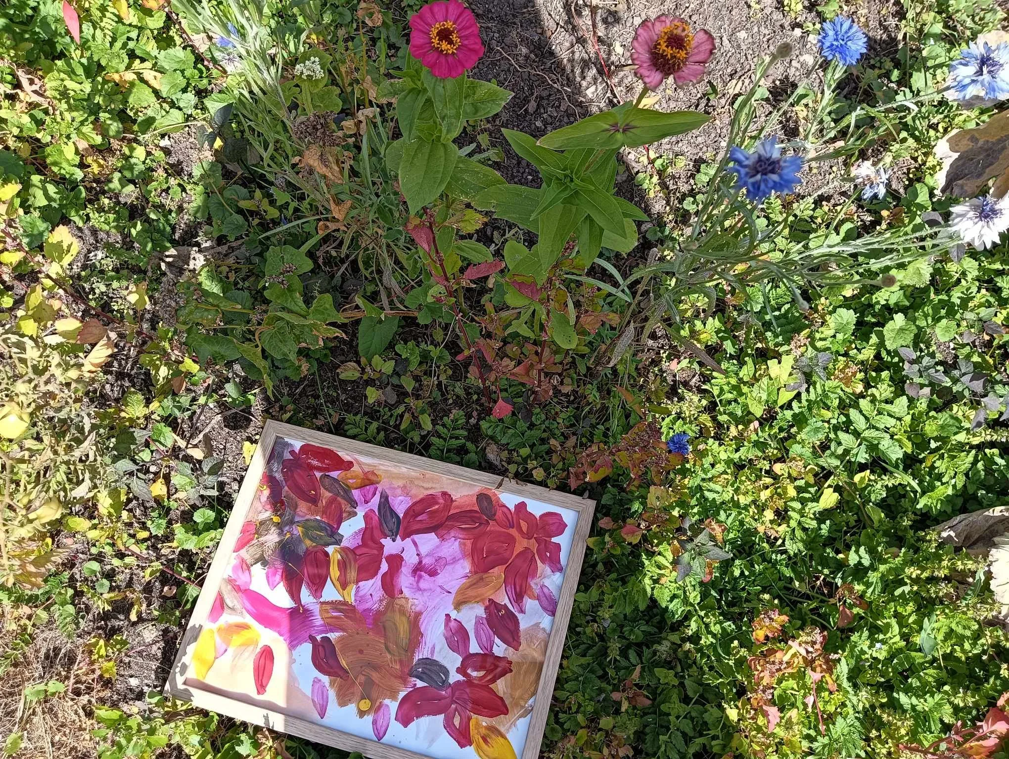 Colorful abstract painting with various shades of pink, purple, yellow, and brown on a white background, placed on the ground amidst green and purple foliage.