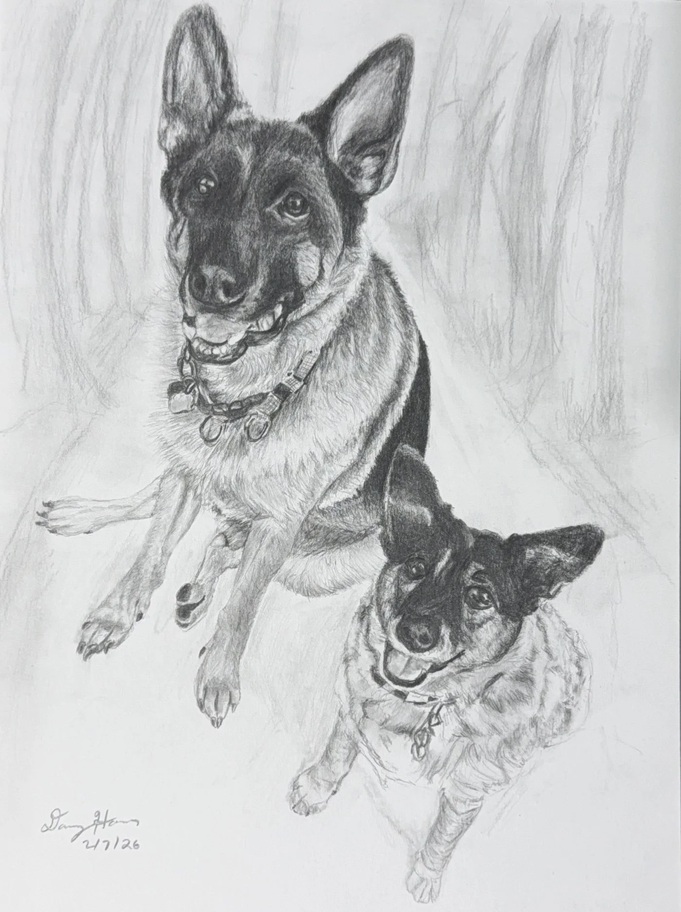 A detailed pencil sketch of two German Shepherd dogs, one sitting and the other lying down, with a forest background.