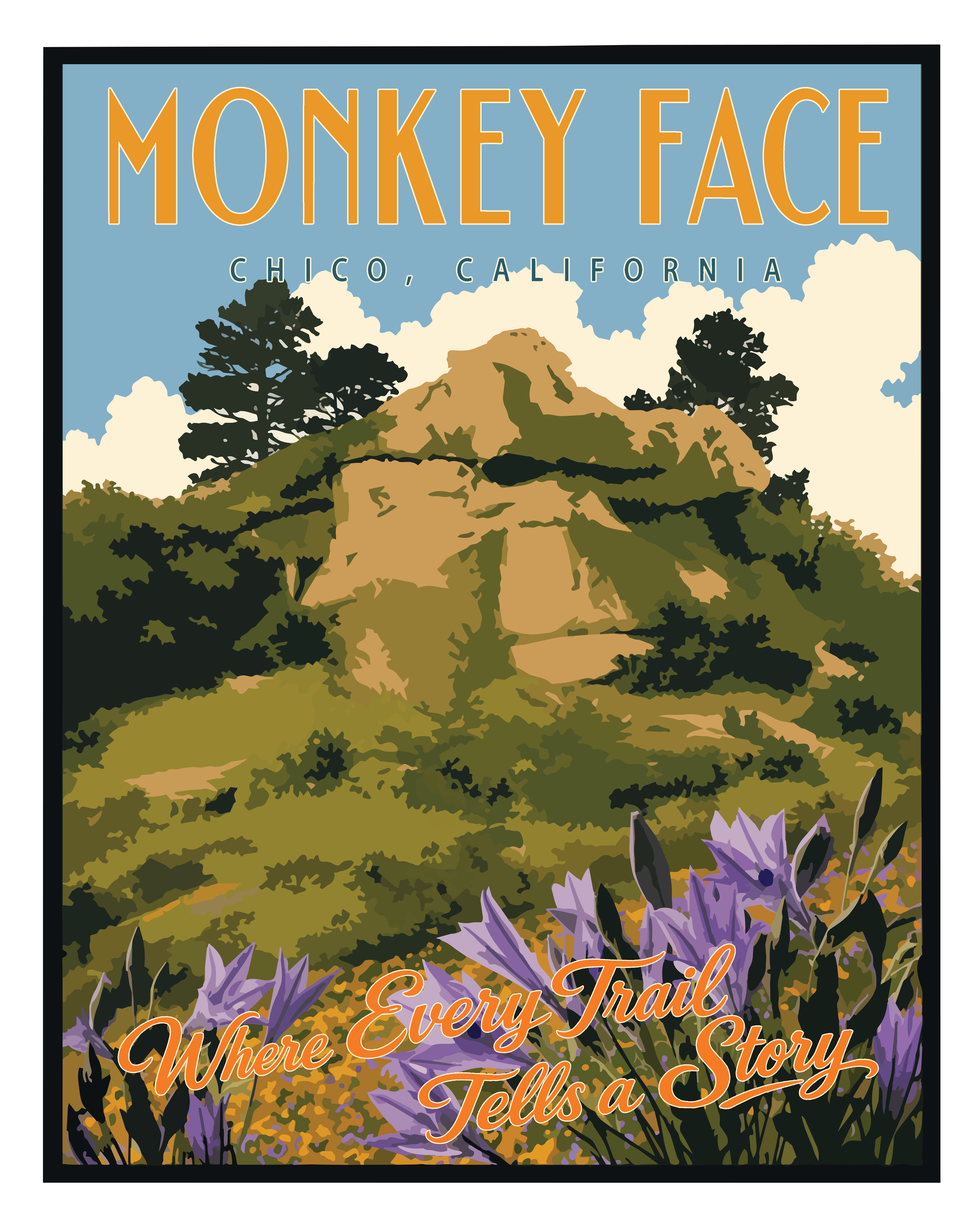 Monkey Face Chico 16x20.png