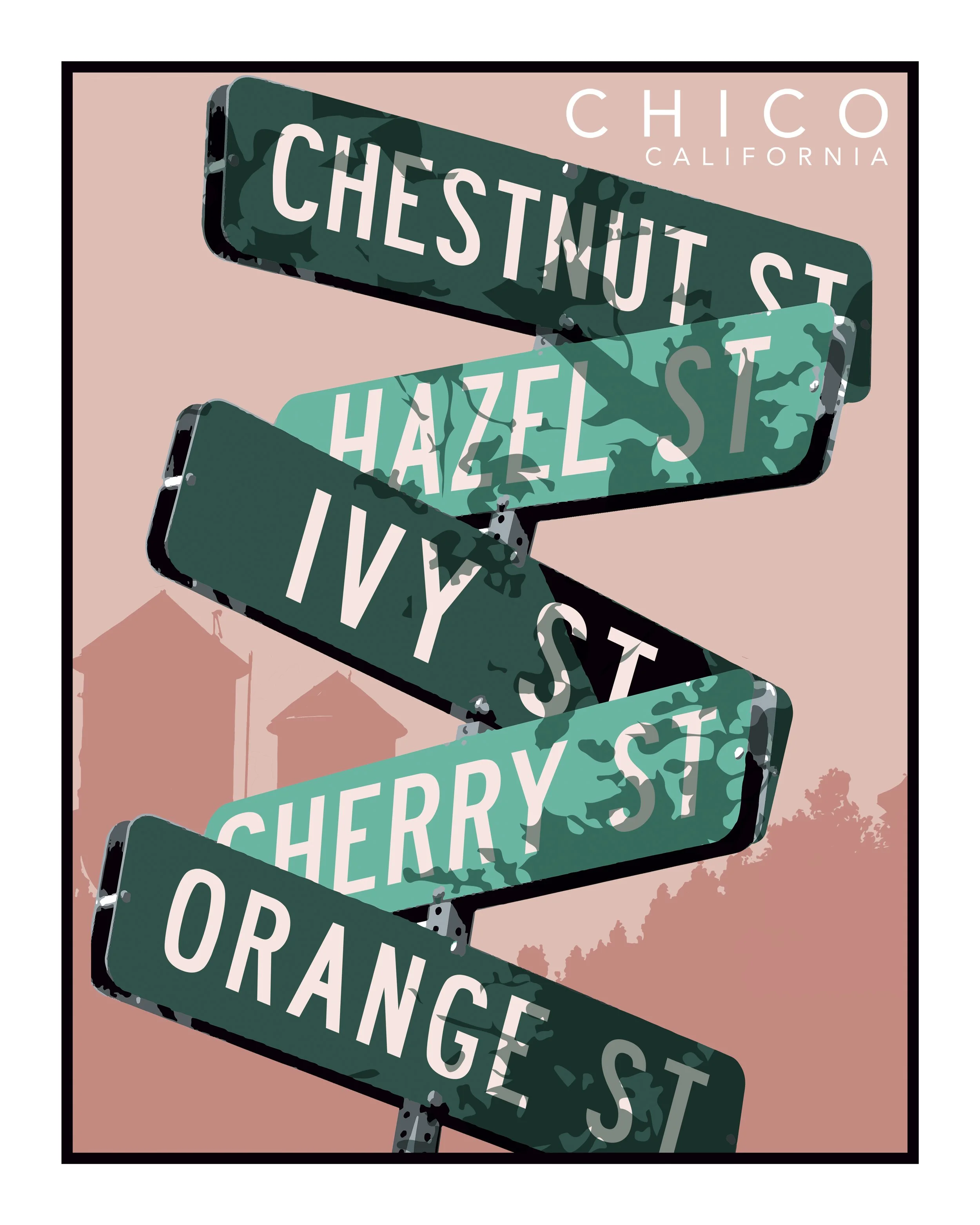 Chico Signs Postcard 16x20.jpg