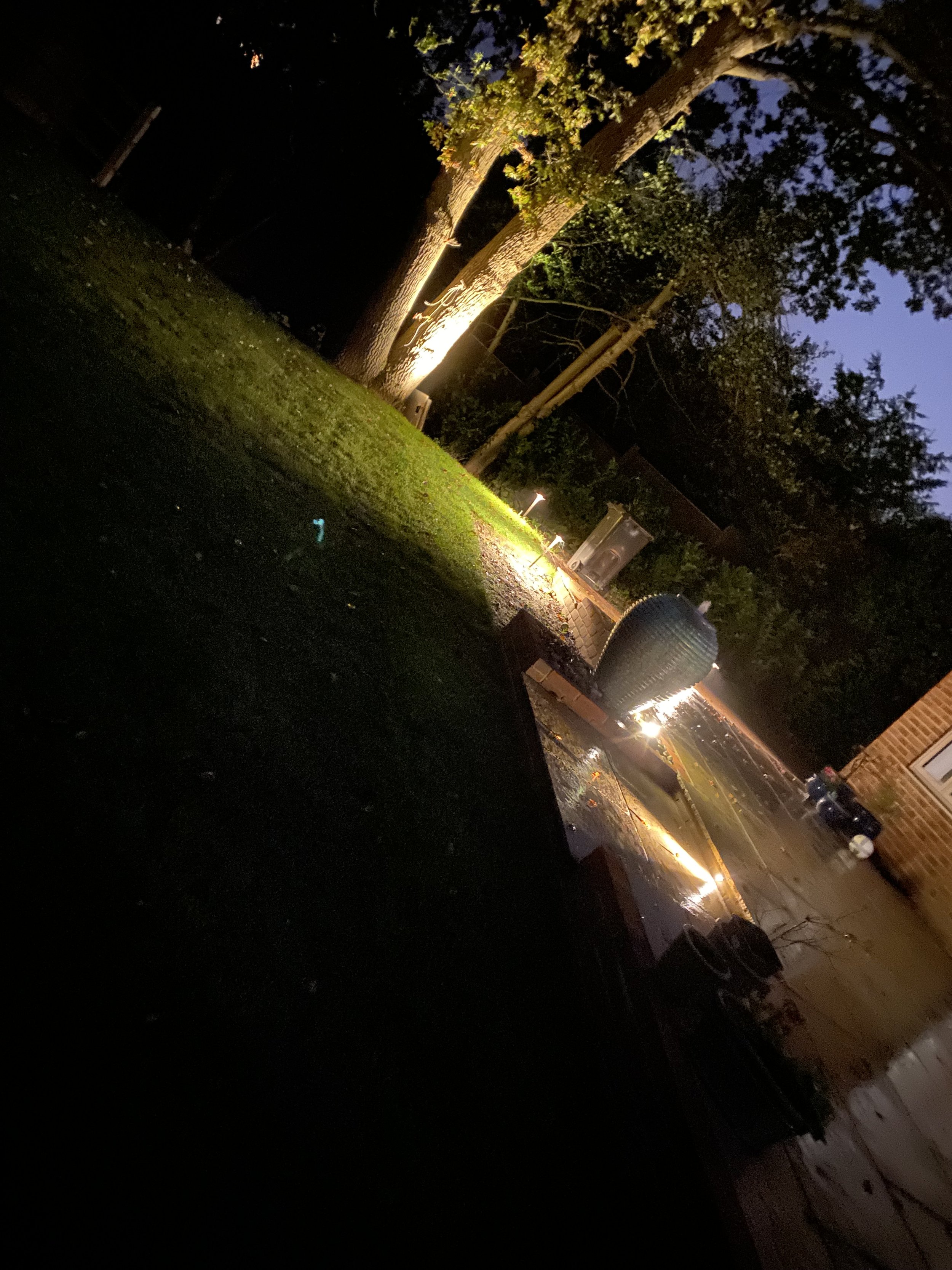 Nighttime view of a residential street with trees and houses, illuminated by streetlights and a tree with a spotlight at its base.