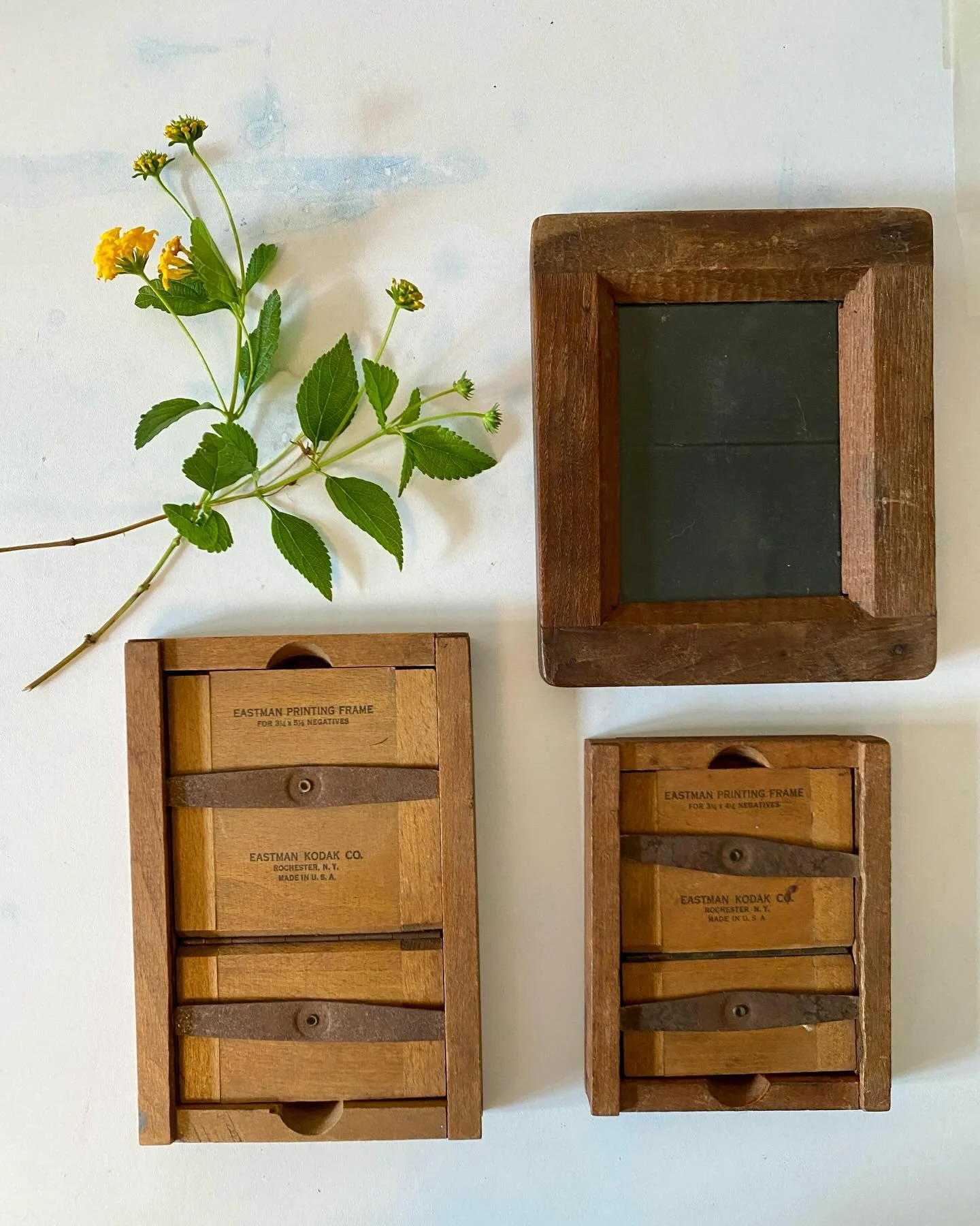 IYKYK ❤️ Found these original Eastman printing frames in an auction a few weeks ago. I&rsquo;ll never tire of making these Lumens, the experimentation, the unknown, the patience and the slowness of the process. I never know what&rsquo;s hiding beneat