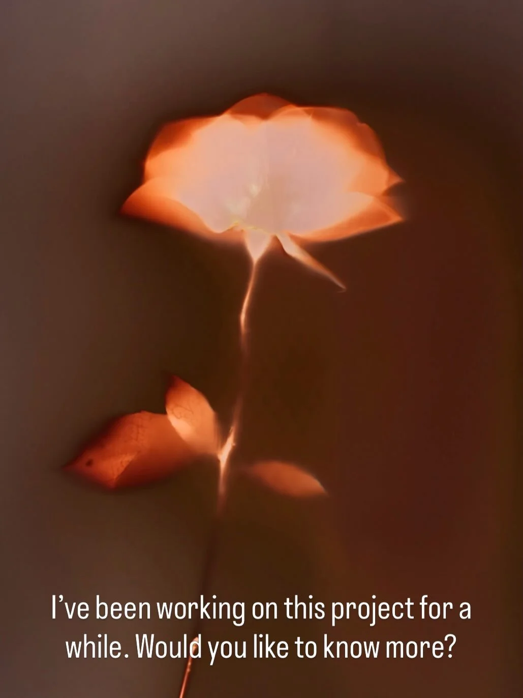 I work slowly and intuitively allowing light and time to be my collaborators.