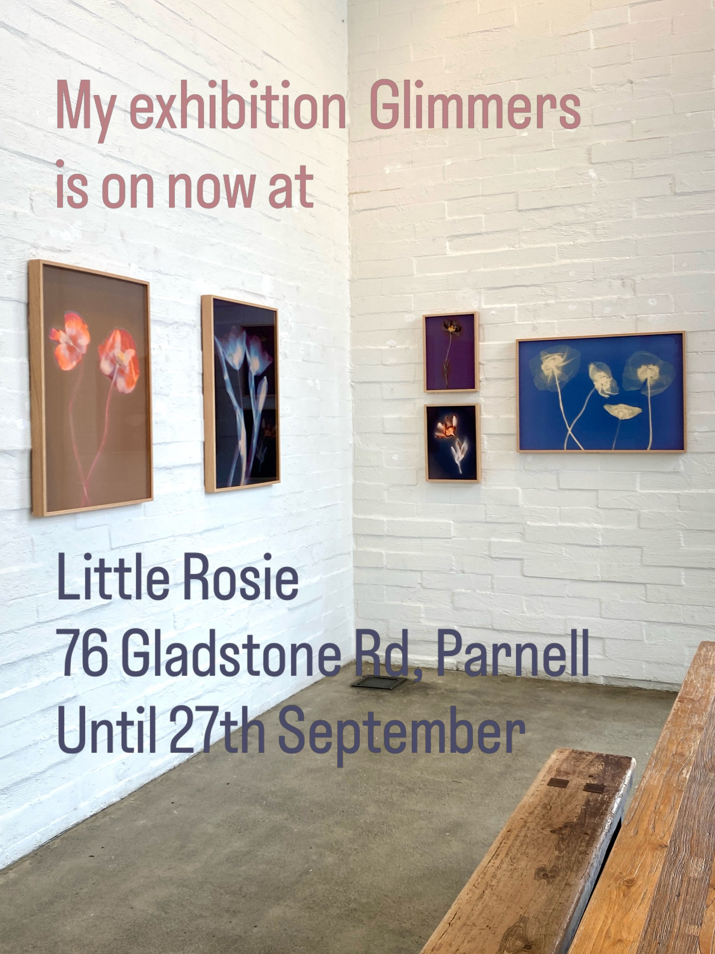 My exhibition Glimmers is on now at Little Rosie, 76 Gladstone rd, Parnell.
Mon-Sun 6.30am - 3.00pm 
@little_rosie_parnell