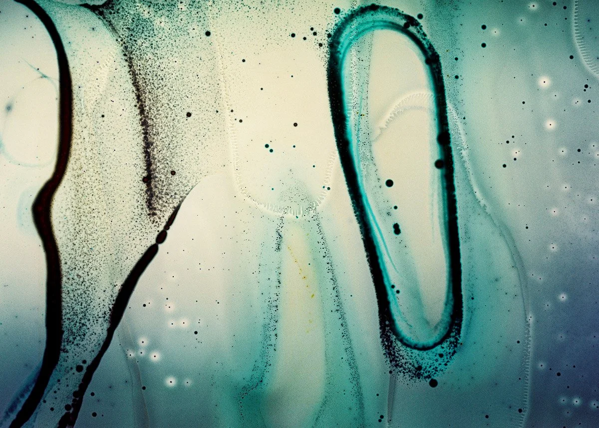 Abstract artwork with curved lines and splashes of black, teal, and yellow on a light background.