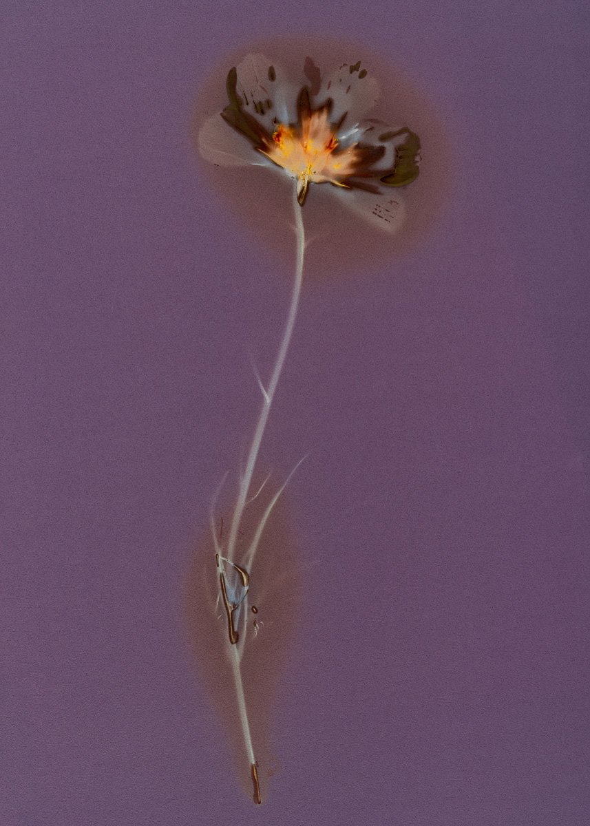 Leap
