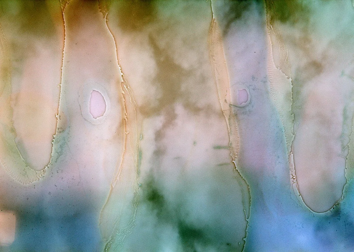Abstract watercolor painting with soft pastel colors blending into each other and organic shapes.