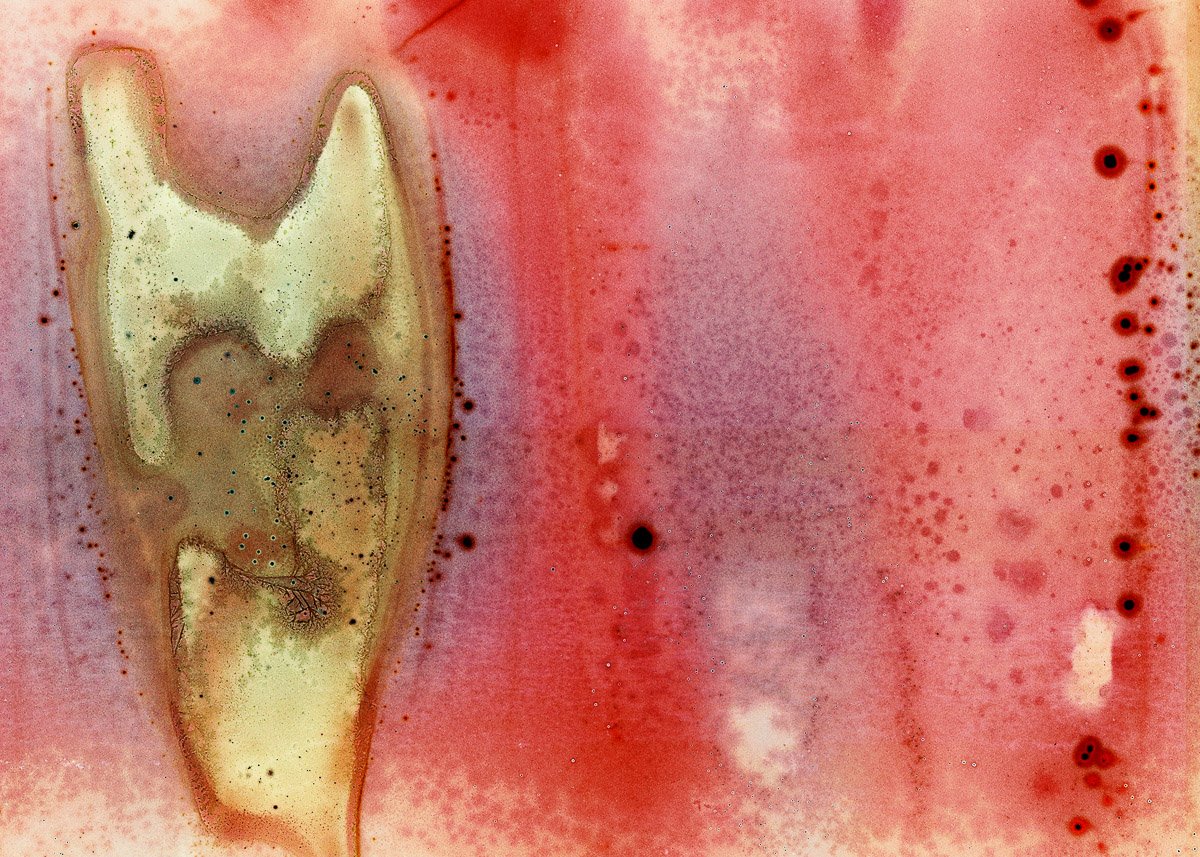Close-up image of a plain red surface with black dots and splashes, possibly a textured background or fabric.