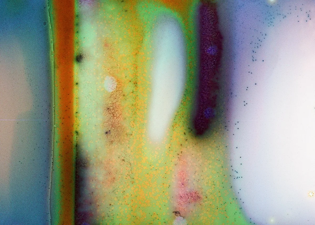 Abstract colorful image with green, yellow, purple, and white hues, featuring blurry textures and speckles.