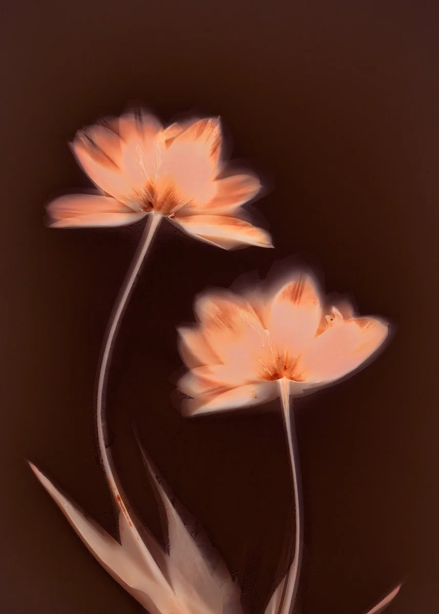Two abstract, glowing orange flowers with long stems on a dark background.