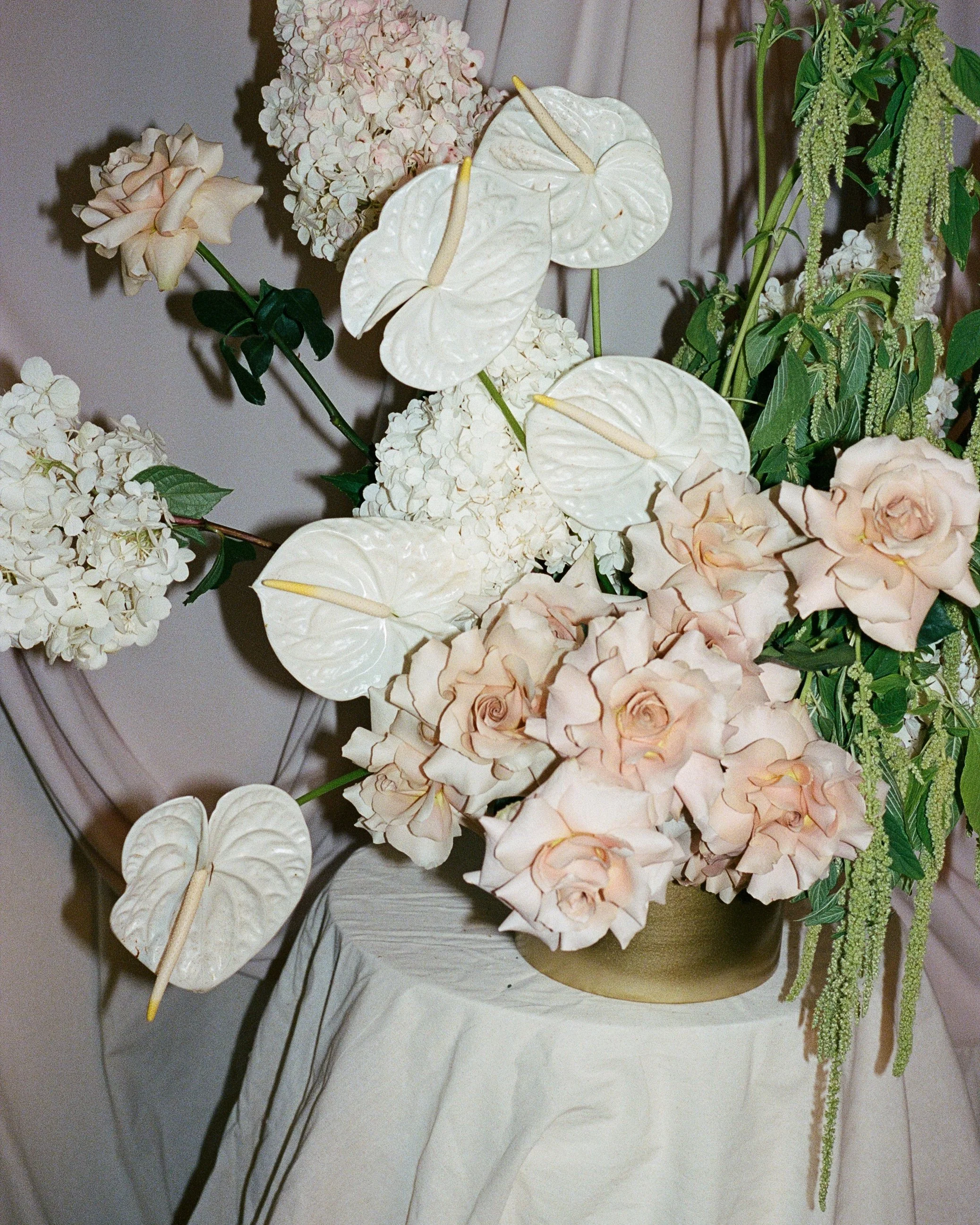 Adelaide Florist, Bloombar By Studio, Florist Content Inspiration, Adelaide Creative Agency, Social Media Agency Adelaide