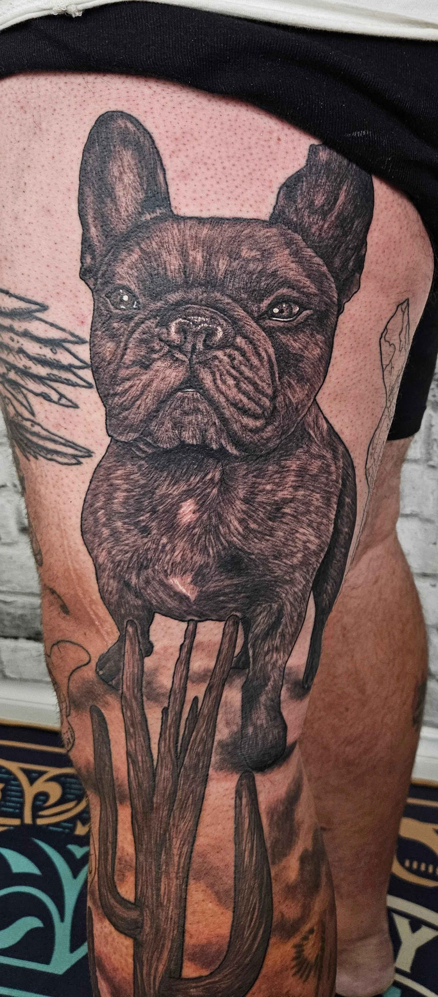 Black and gray tattoo of a French bulldog on a person's upper arm.