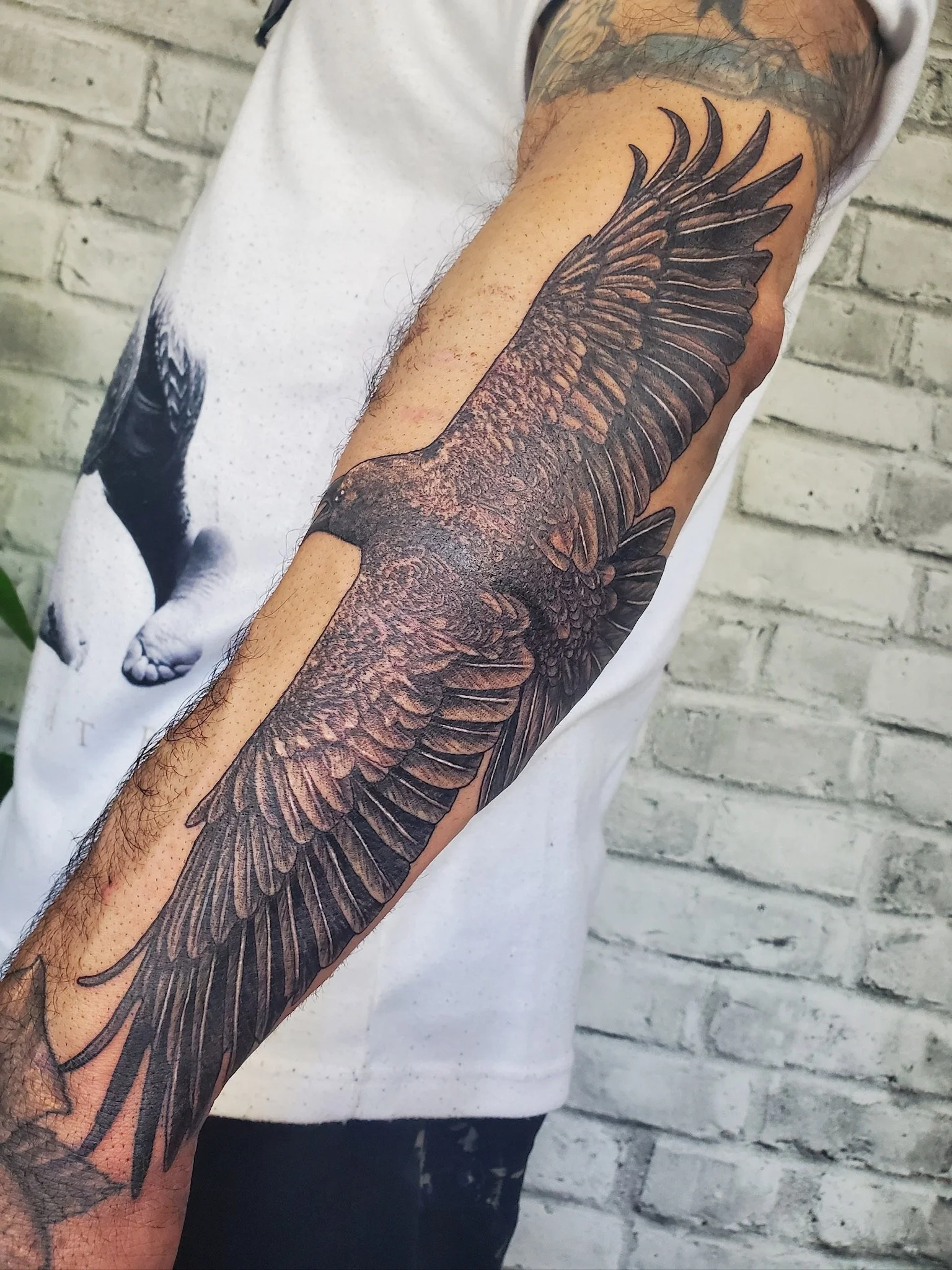 A person's arm with a detailed black and gray realism tattoo of large bird wings extending from the shoulder to the forearm.
