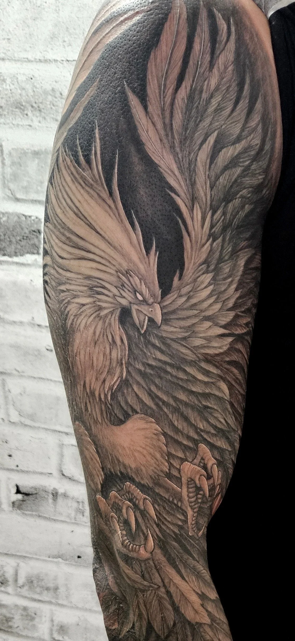 Tattoo of a detailed Pheonix head and wings on a person's arm.
