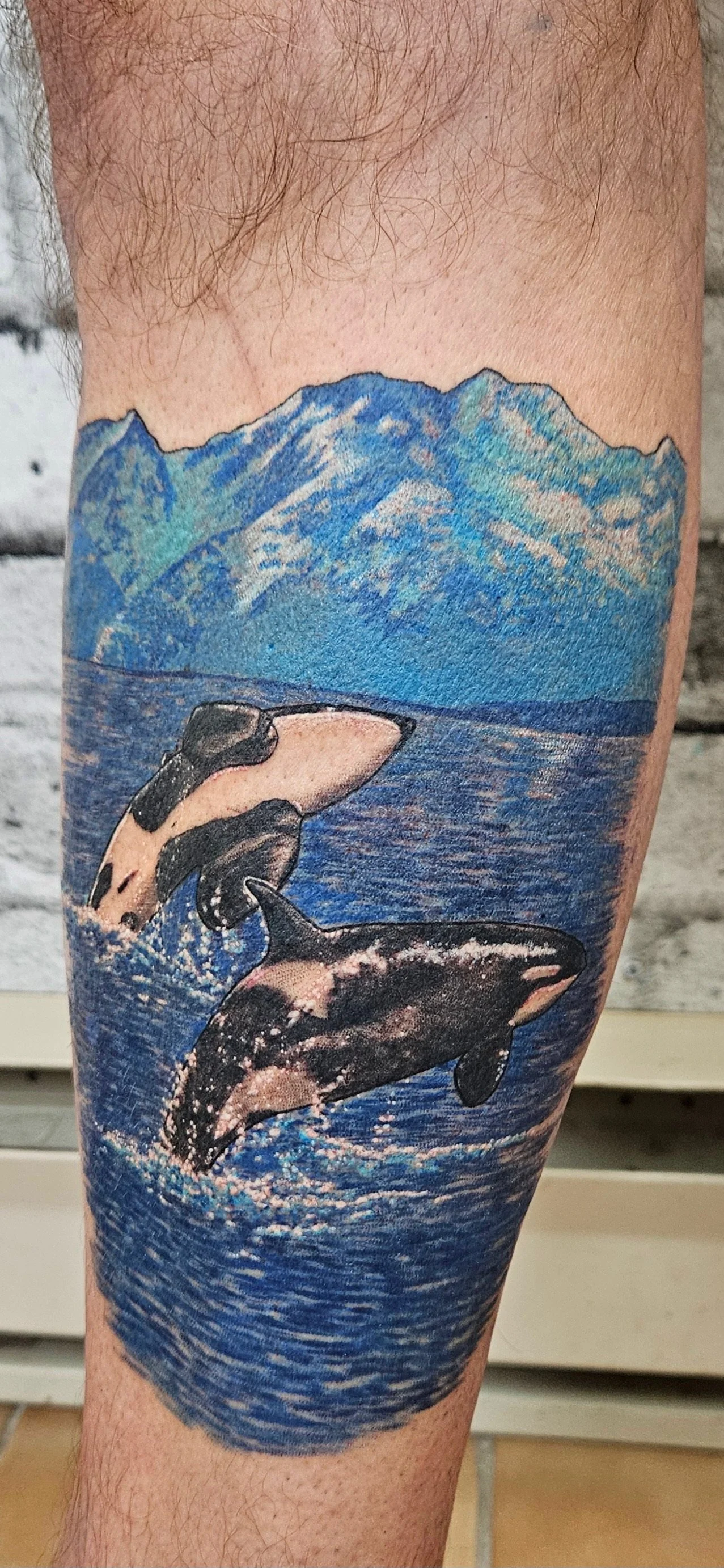 Tattoo of two orcas jumping out of the water with snow-capped mountains in background. Full colour tattoo.