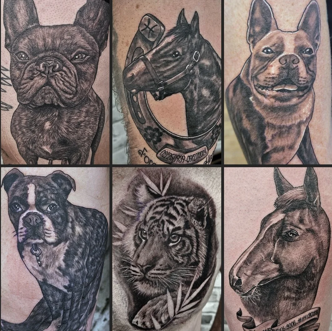 Collection of six tattoo portraits of various animals, including a French Bulldog, a horse with a saddle, a smiling and alert French Bulldog, a dog with a black and white coat, a tiger with fierce eyes, and a horse, all in black and gray ink.
