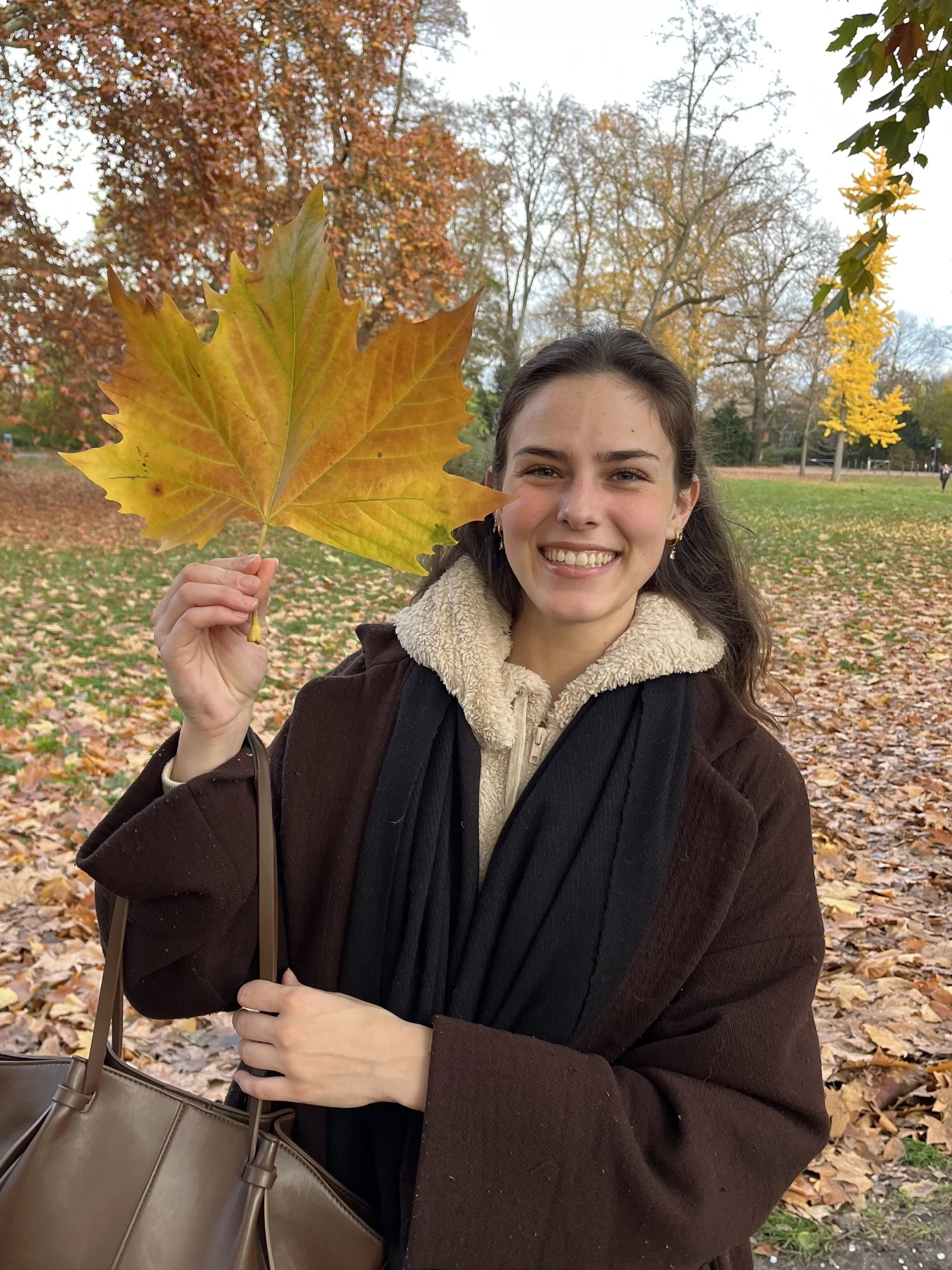 Eine junge Frau hält einen großen gelben Herbstblatt in der Hand, steht in einem Park mit herbstlicher Laubbedeckung, umgeben von Bäumen mit bunten Blättern.