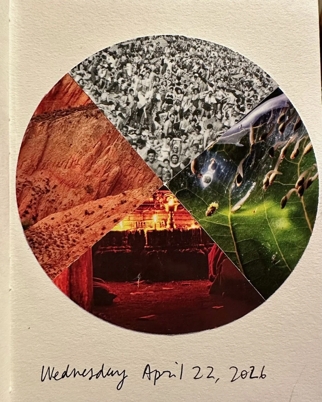 Daily Collage BIG - 3 of 80.jpeg