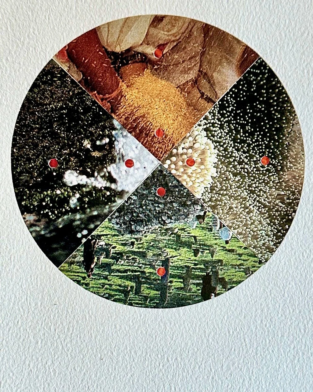 Daily Collage BIG - 53 of 80.jpeg