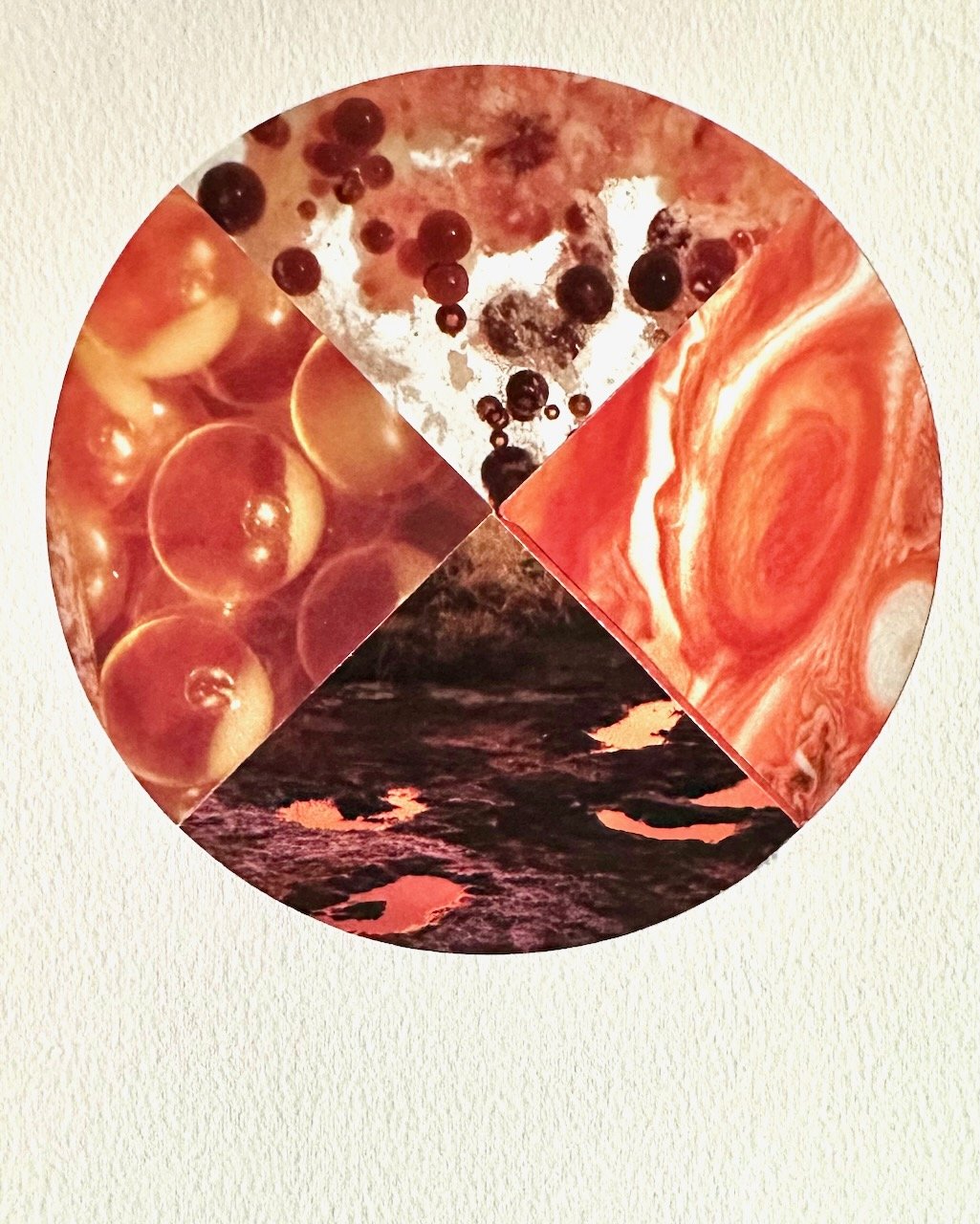 Daily Collage BIG - 54 of 80.jpeg
