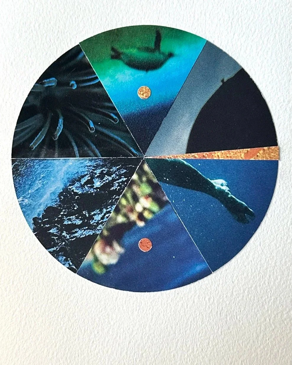 Daily+Collage+BIG+-+46+of+80.jpg