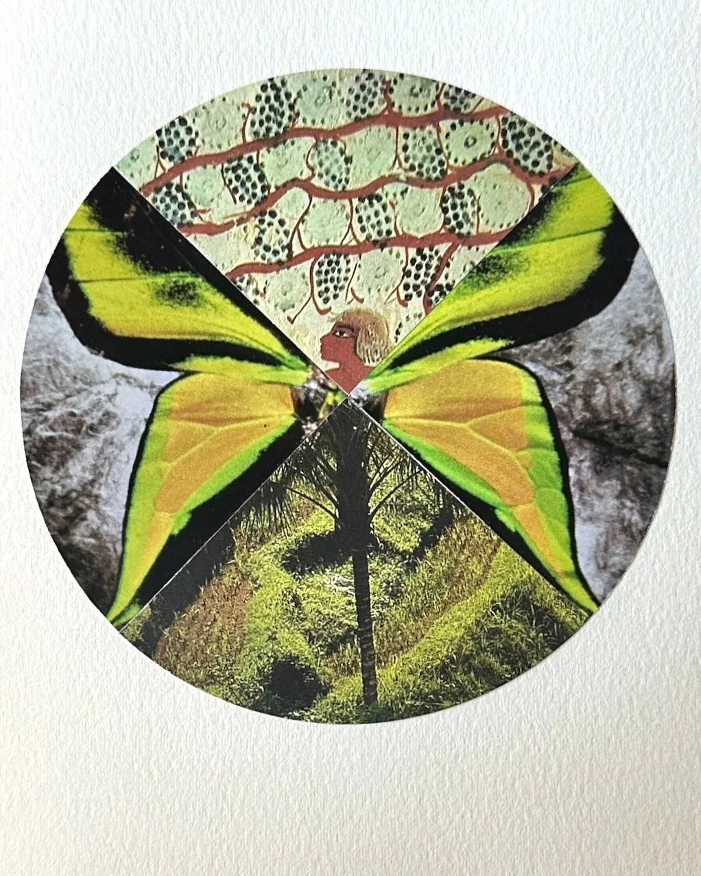 Daily+Collage+BIG+-+48+of+80.jpg