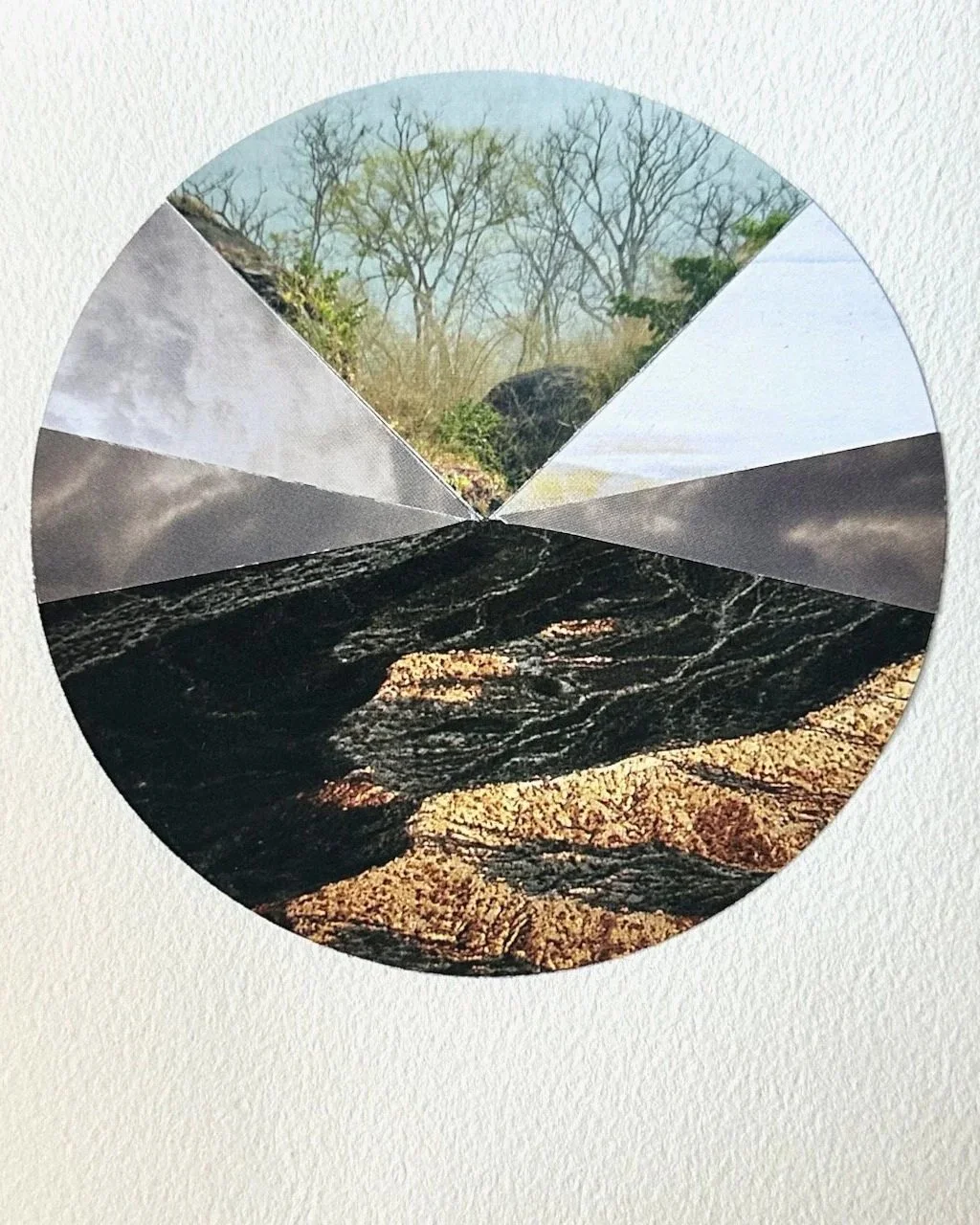 Daily+Collage+BIG+-+47+of+80.jpg