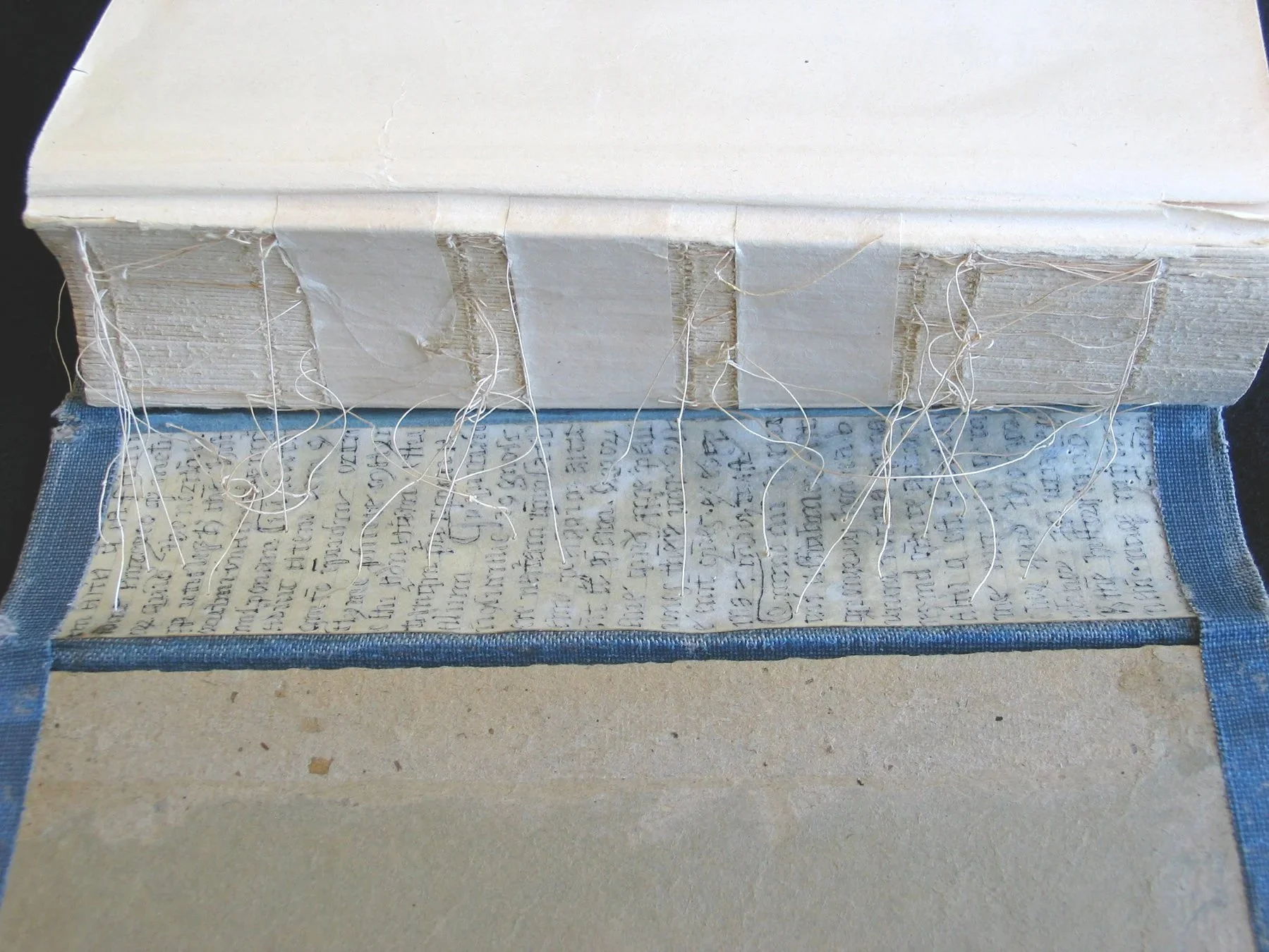 AbridgeSpine+copy.jpg