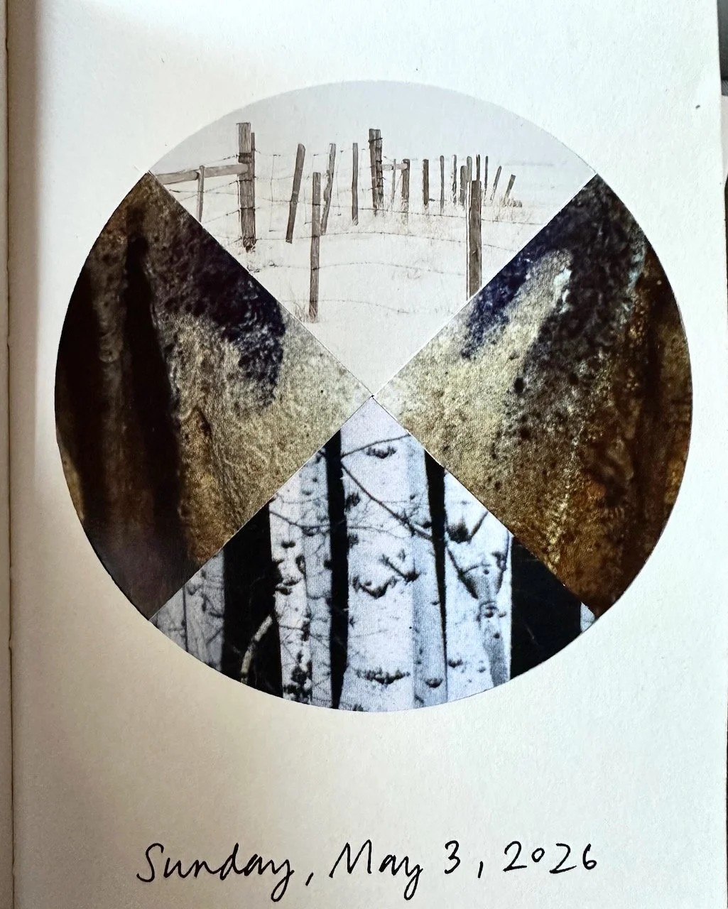 Daily Collage BIG - 14 of 80.jpeg