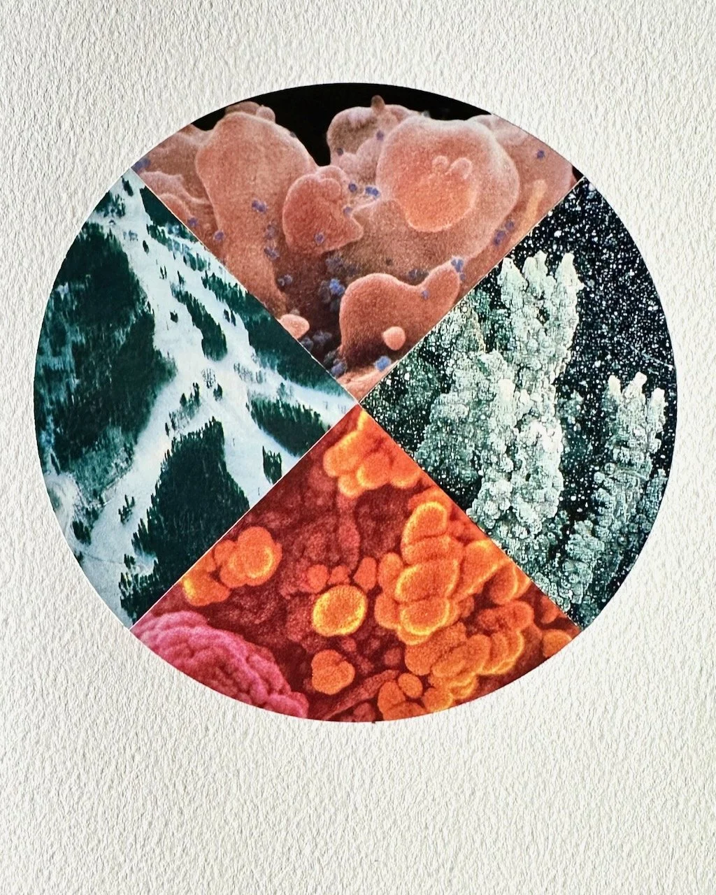 Daily Collage BIG - 78 of 80.jpeg