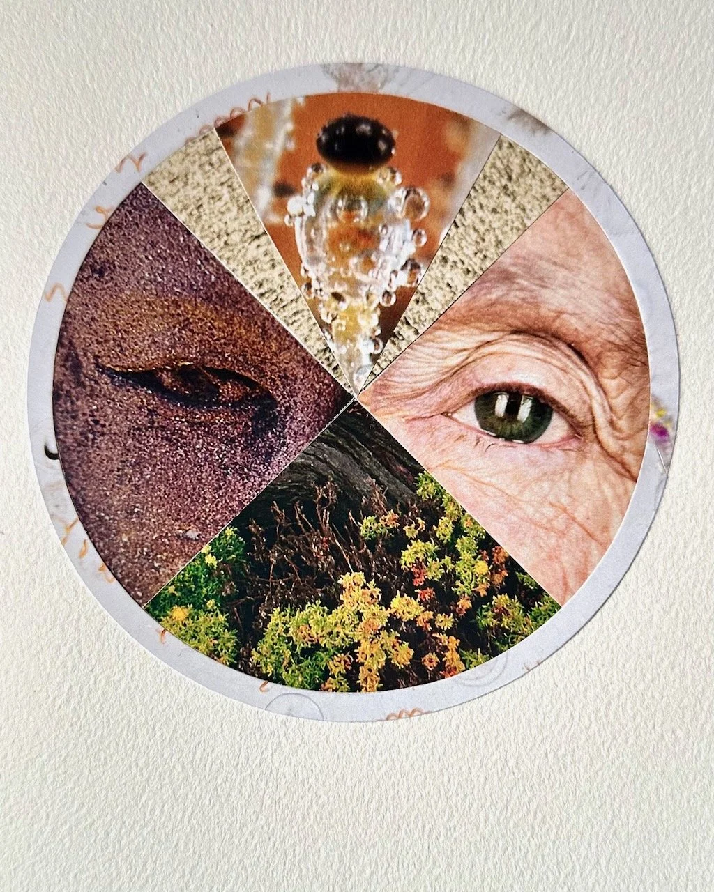 Daily Collage BIG - 65 of 80.jpeg