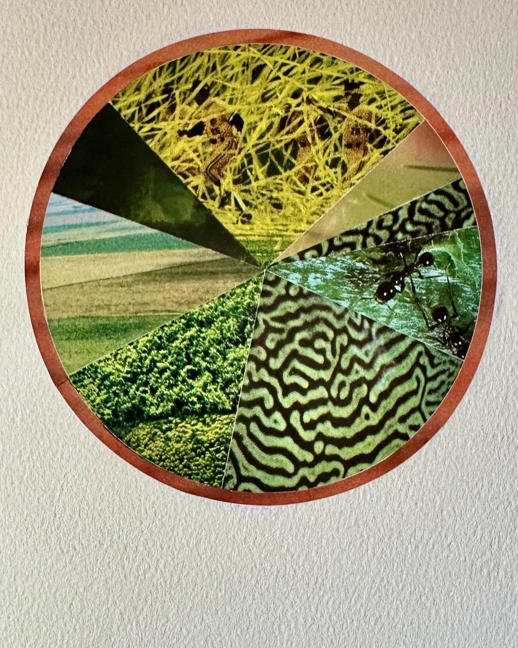 Daily Collage BIG - 67 of 80.jpeg
