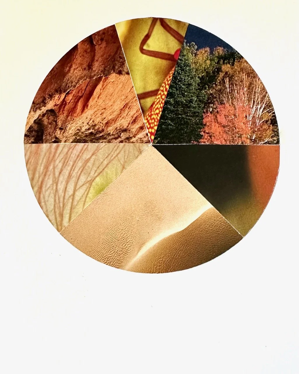 Daily Collage BIG - 15 of 80.jpeg
