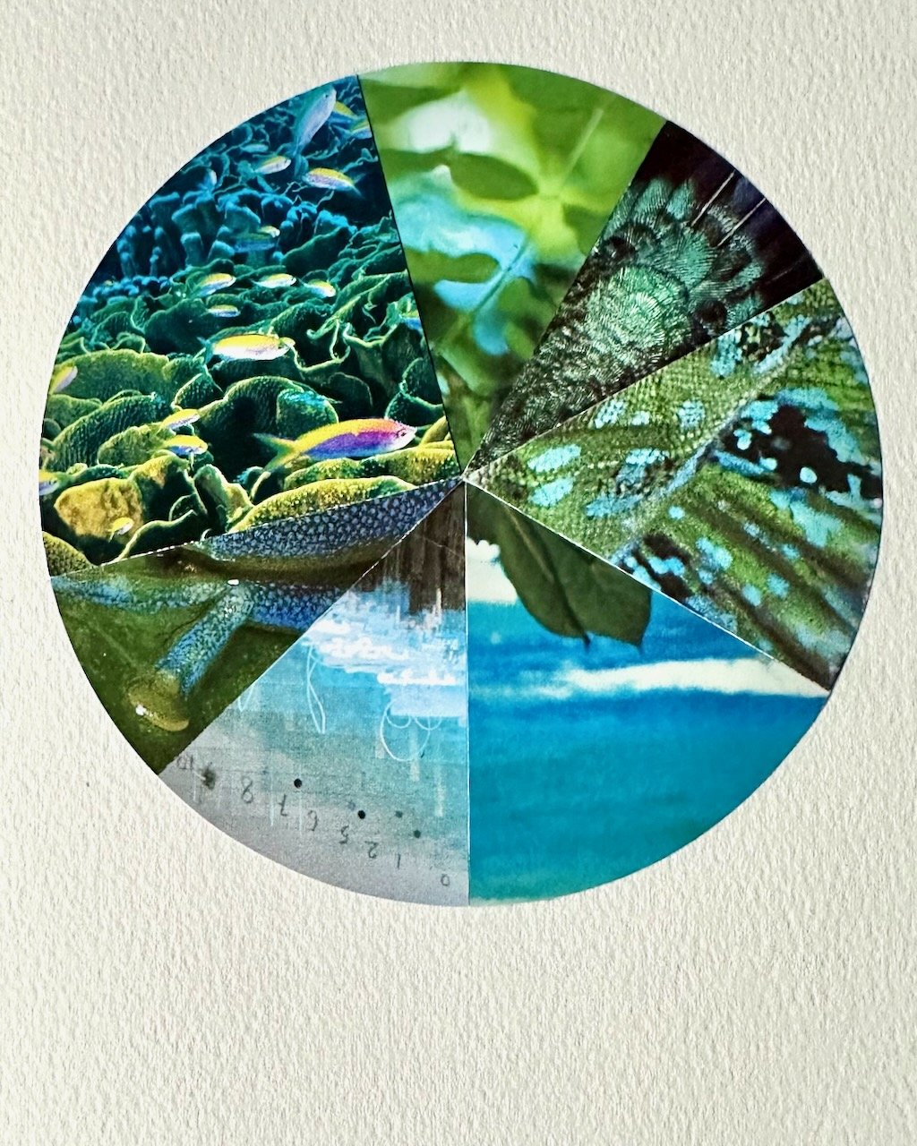Daily Collage BIG - 73 of 80.jpeg