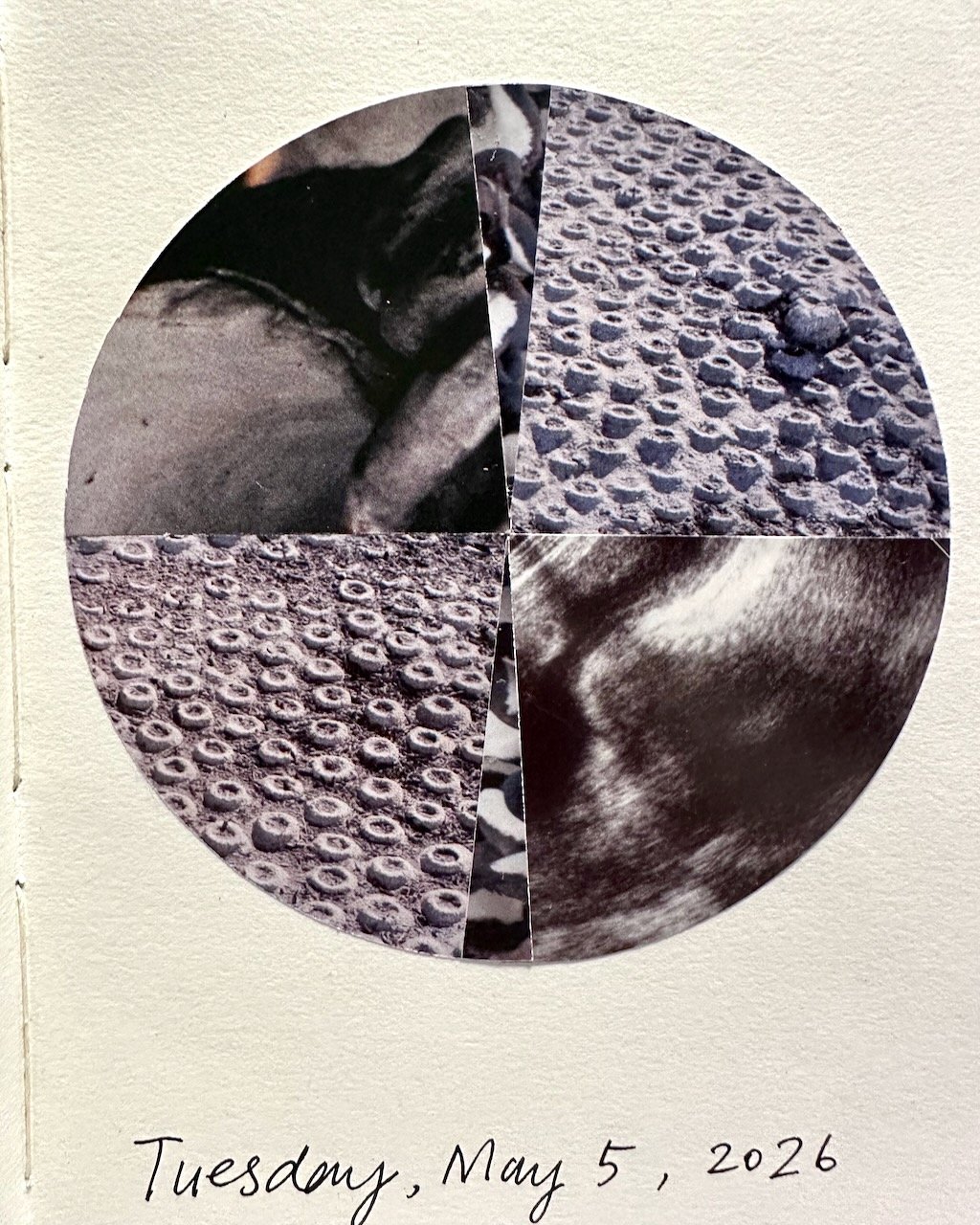 Daily Collage BIG - 17 of 80.jpeg